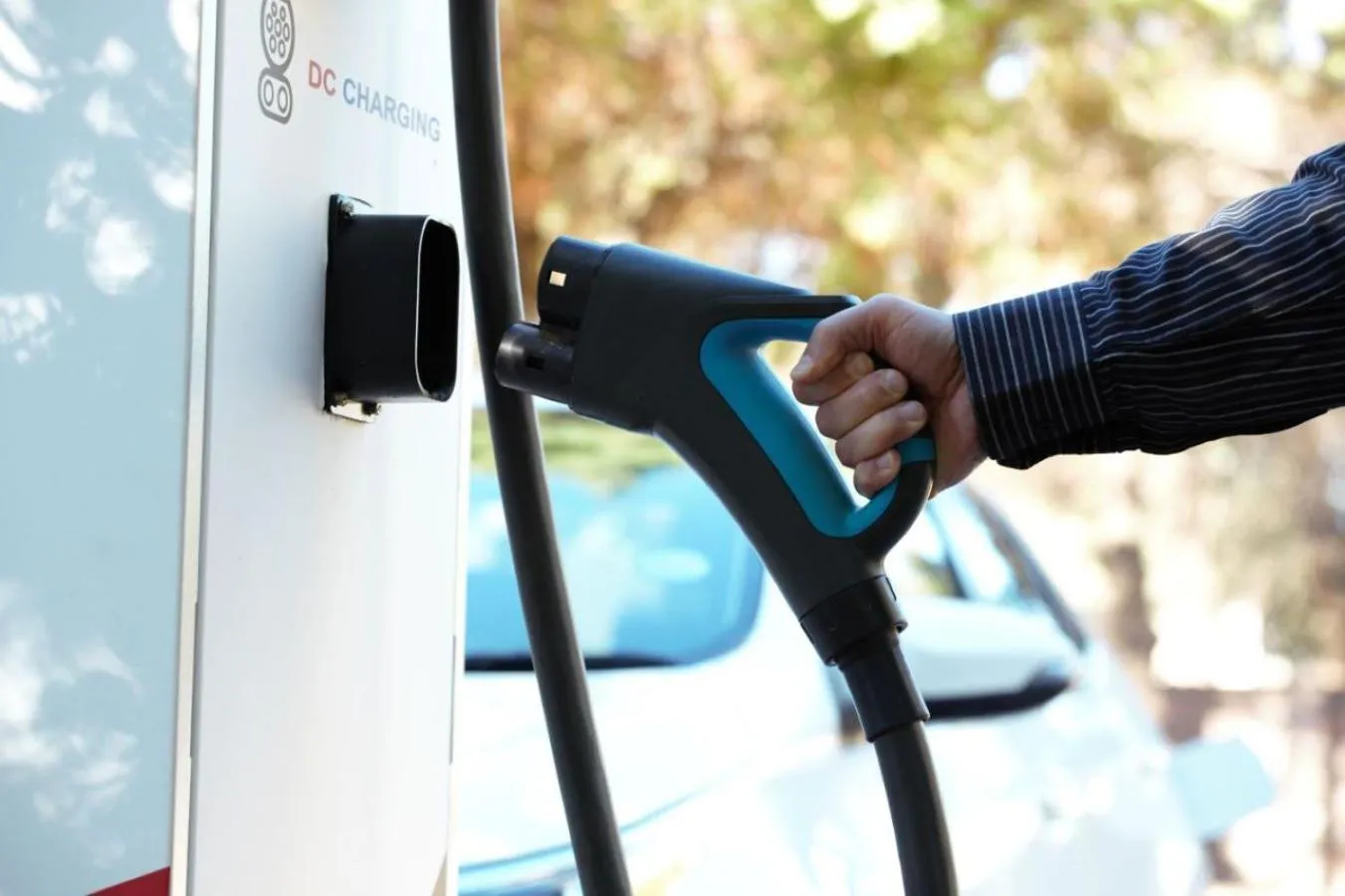 Business facilities in Celtis Country Lodge & Restaurant