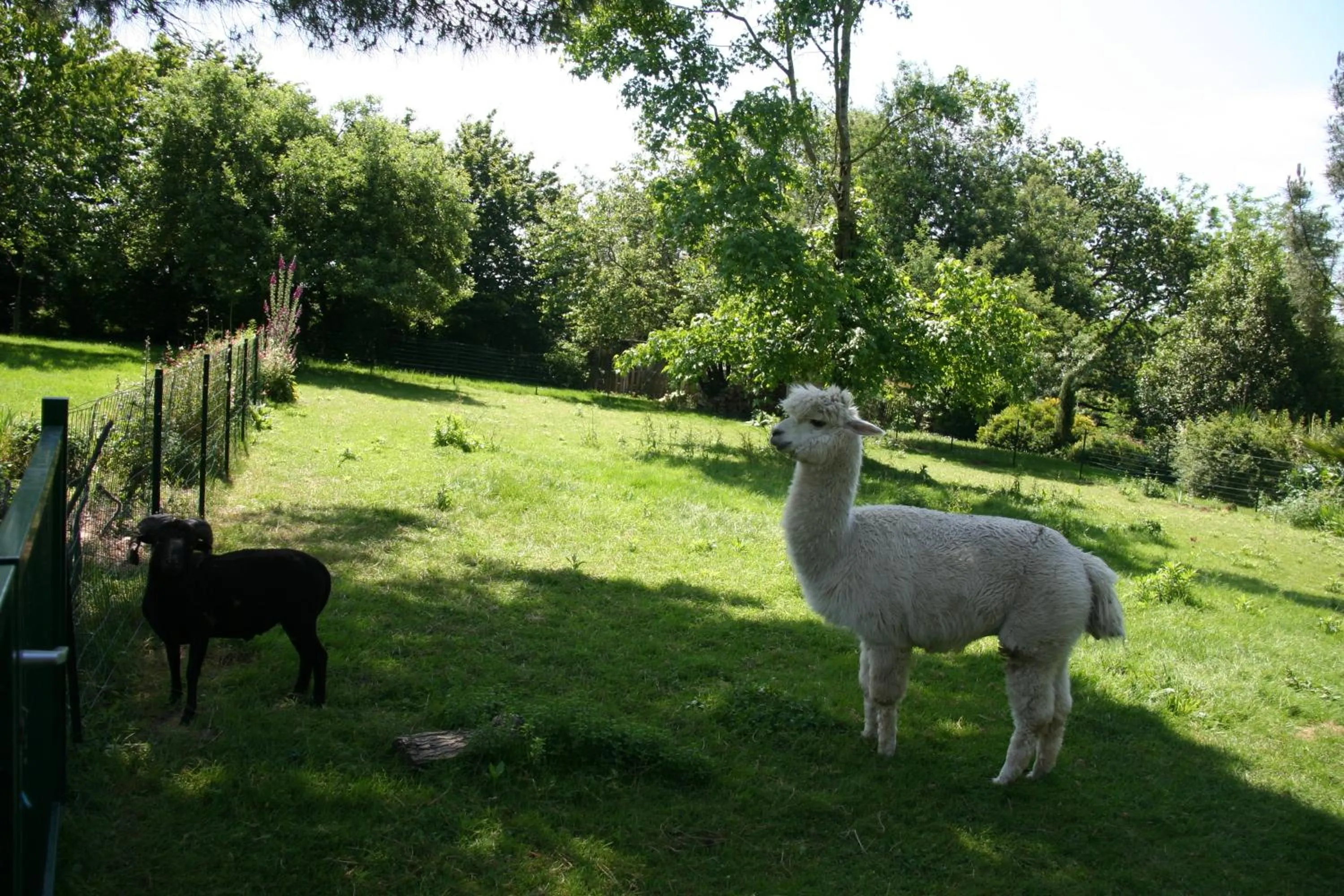 Garden in Une Chambre à la Campagne