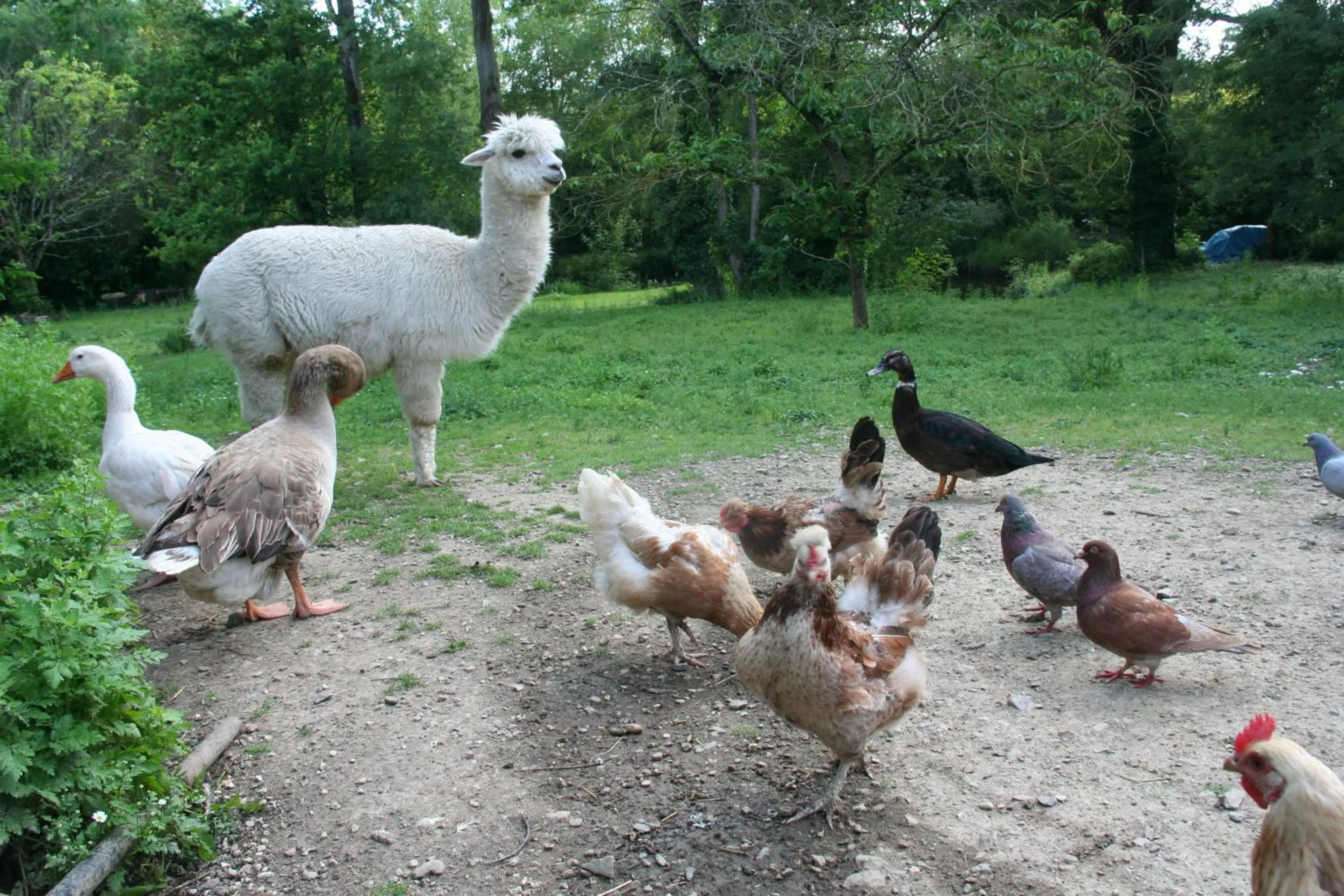 Une Chambre à la Campagne
