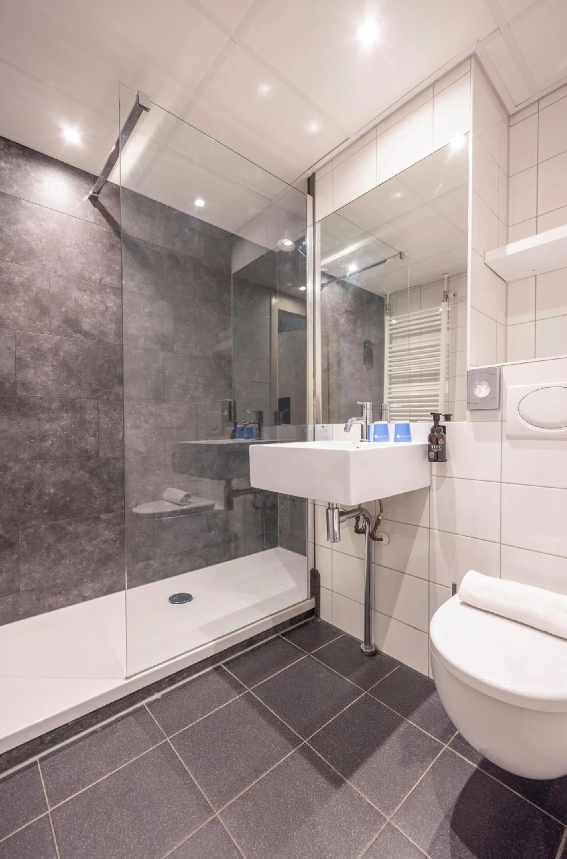 Bathroom in Fletcher Hotel Restaurant De Eese