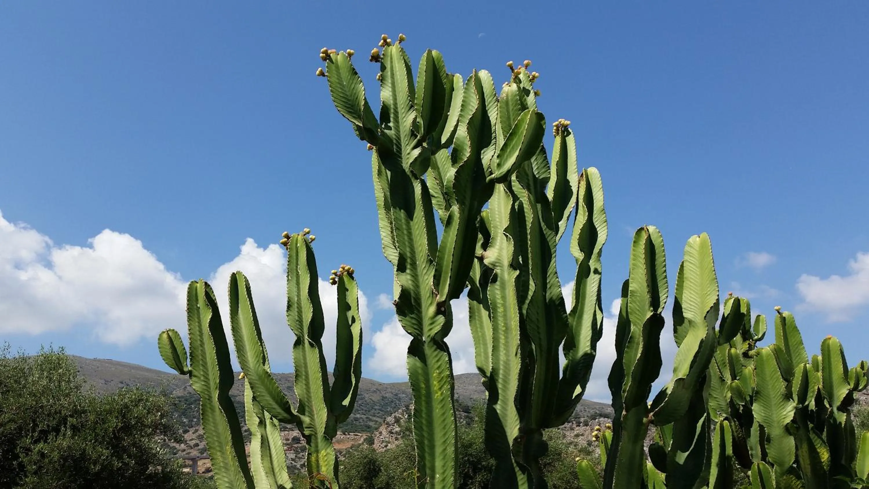 Mountain view in Emerald Hotel