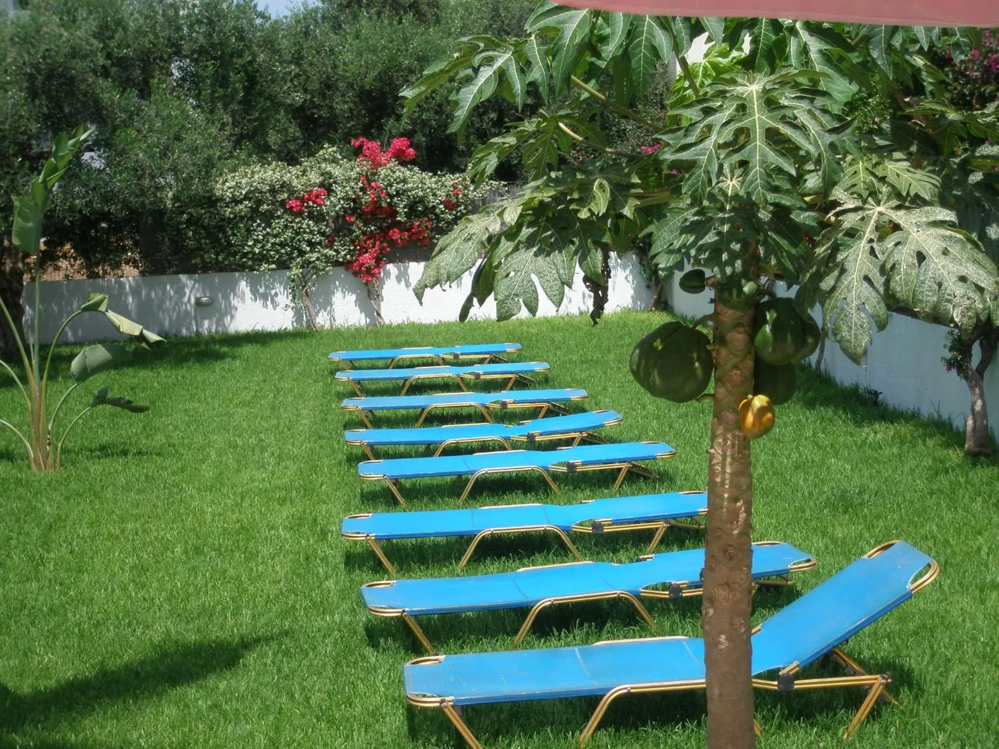 Garden in Emerald Hotel