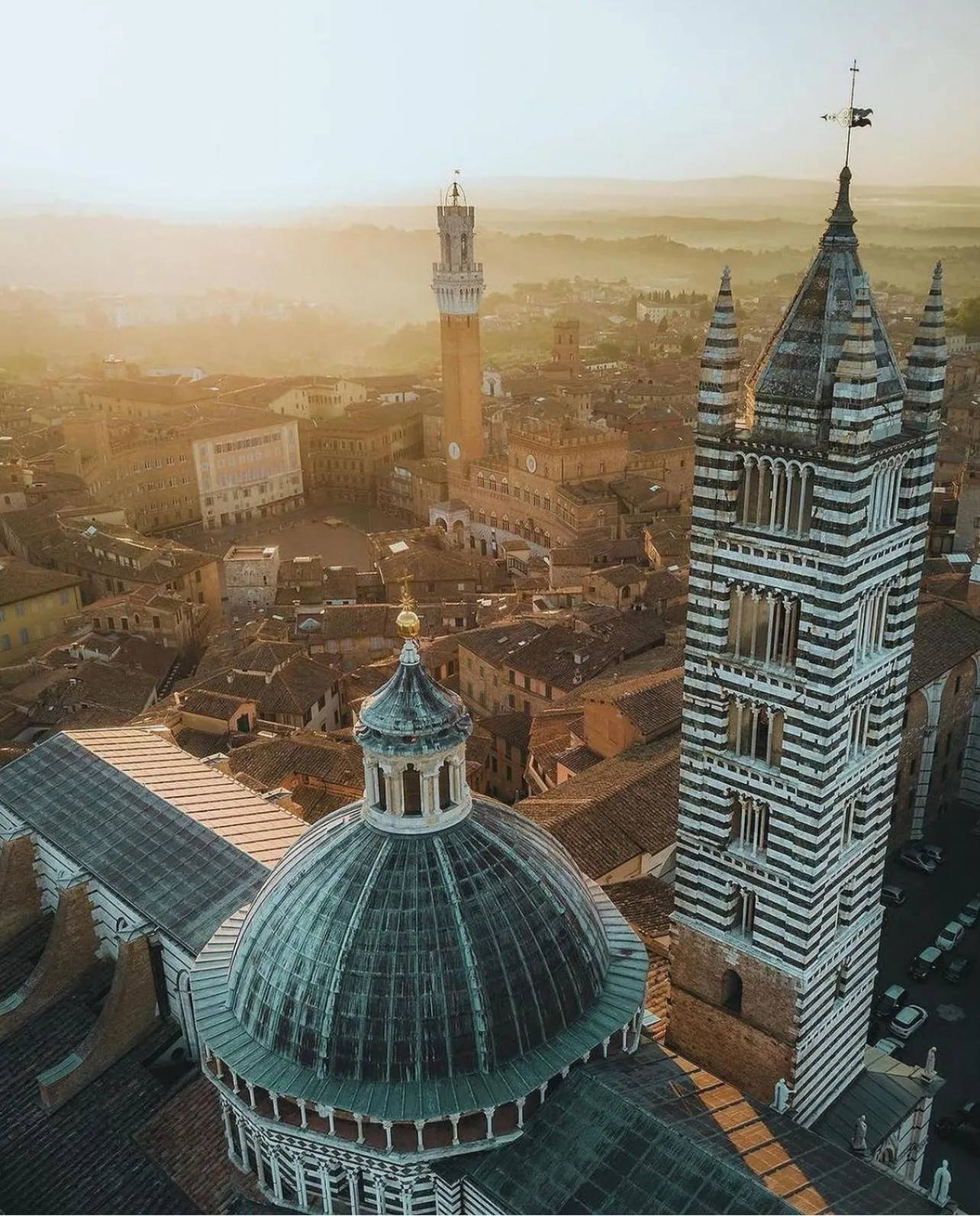 Blossoms of Siena, Adults Only