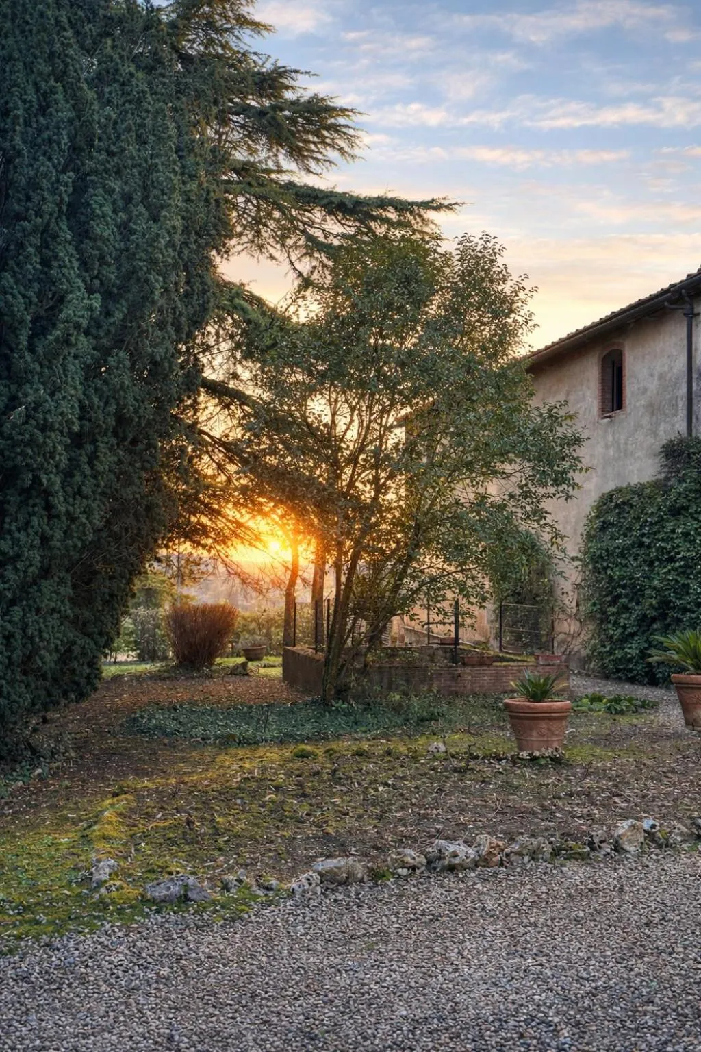 View (from property/room) in Fattoria Lornano Winery