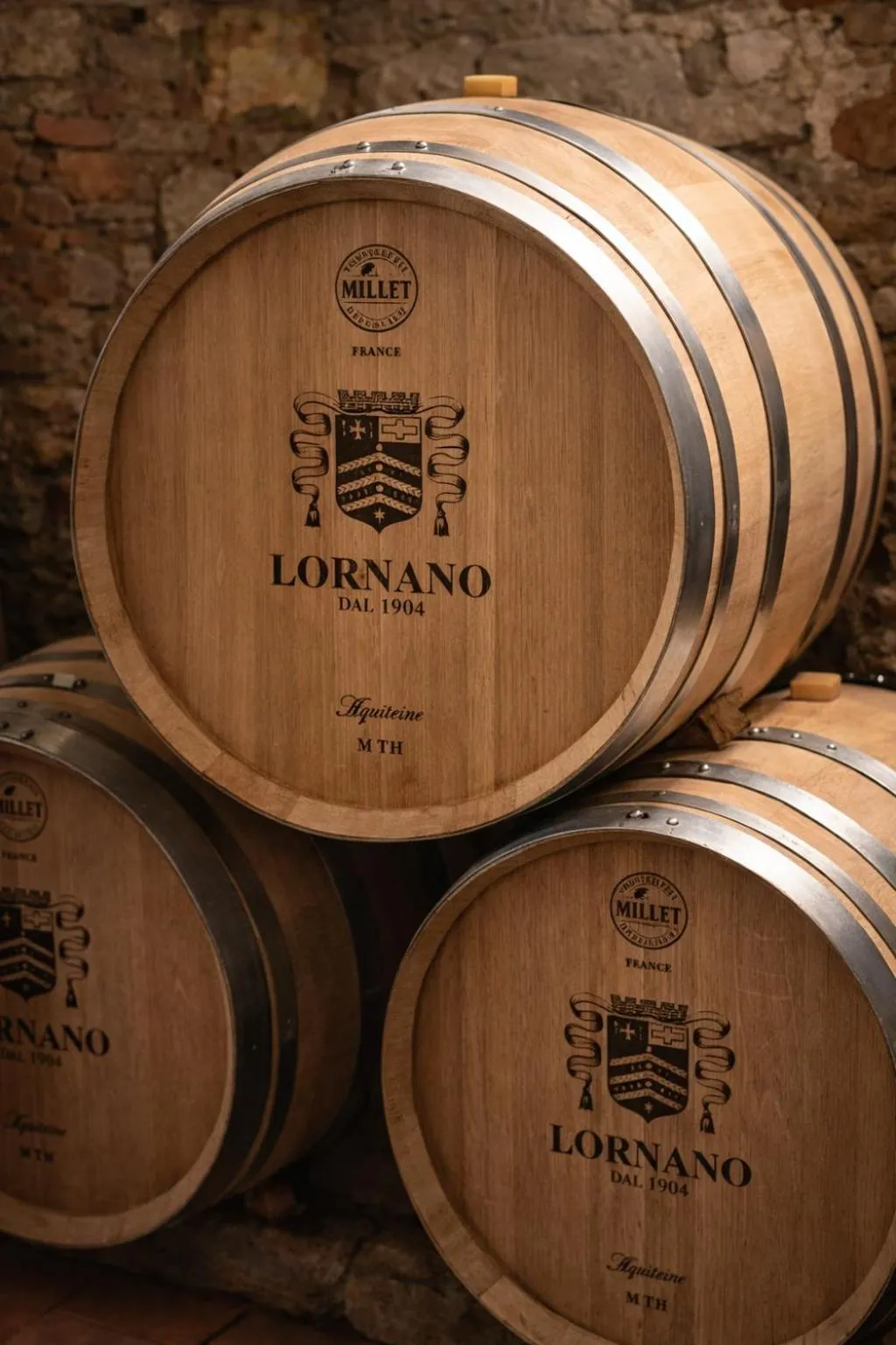 Activities in Fattoria Lornano Winery
