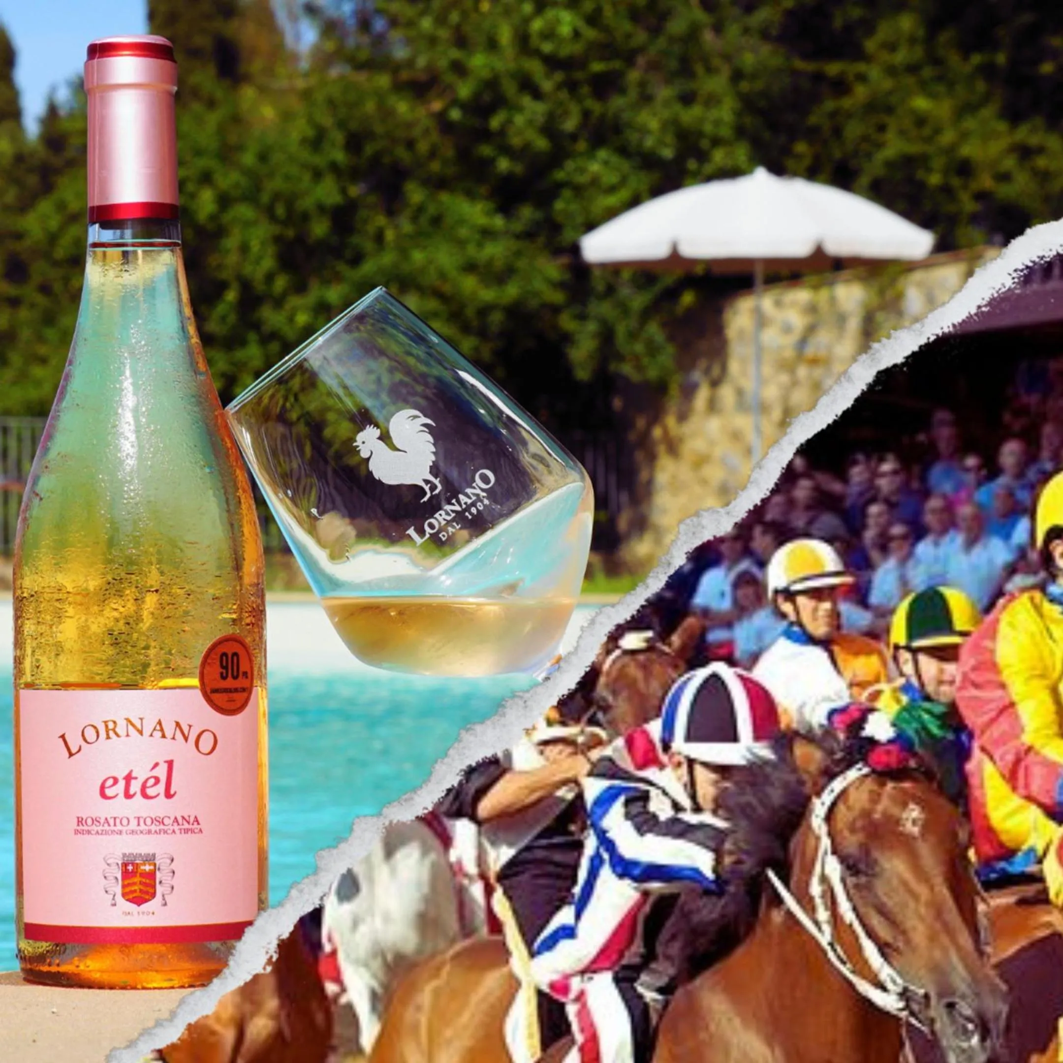 Activities in Fattoria Lornano Winery