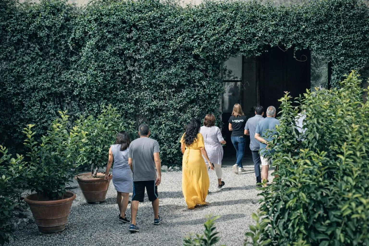 Activities in Fattoria Lornano Winery