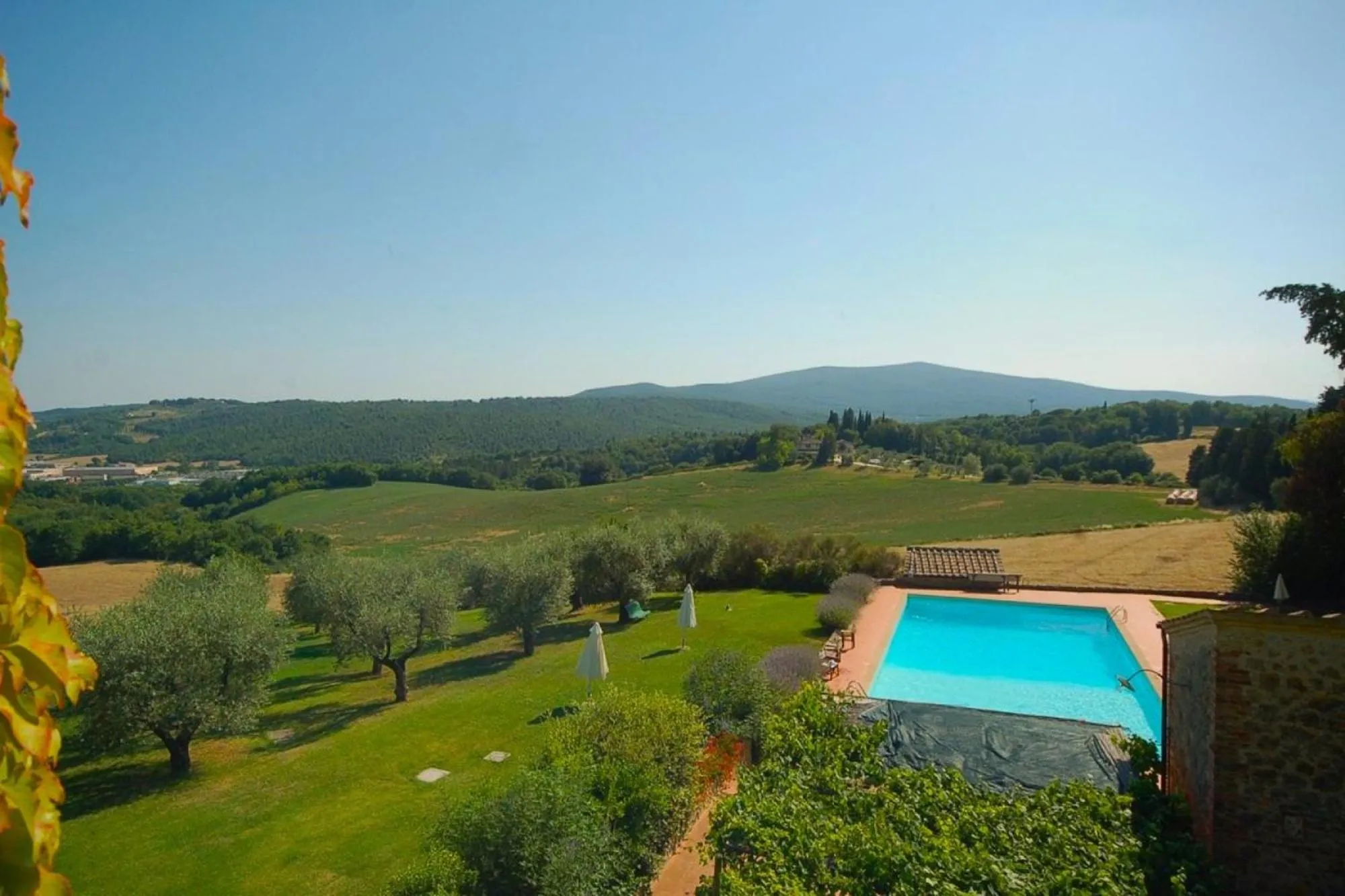 Day in Fattoria Lornano Winery