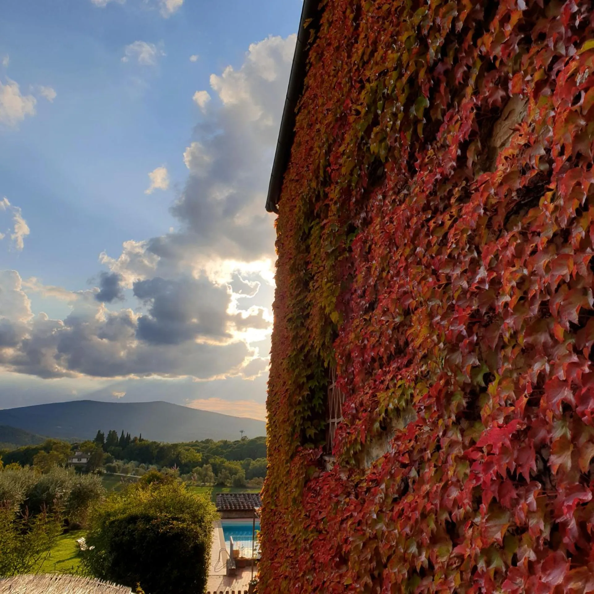 Garden in Fattoria Lornano Winery