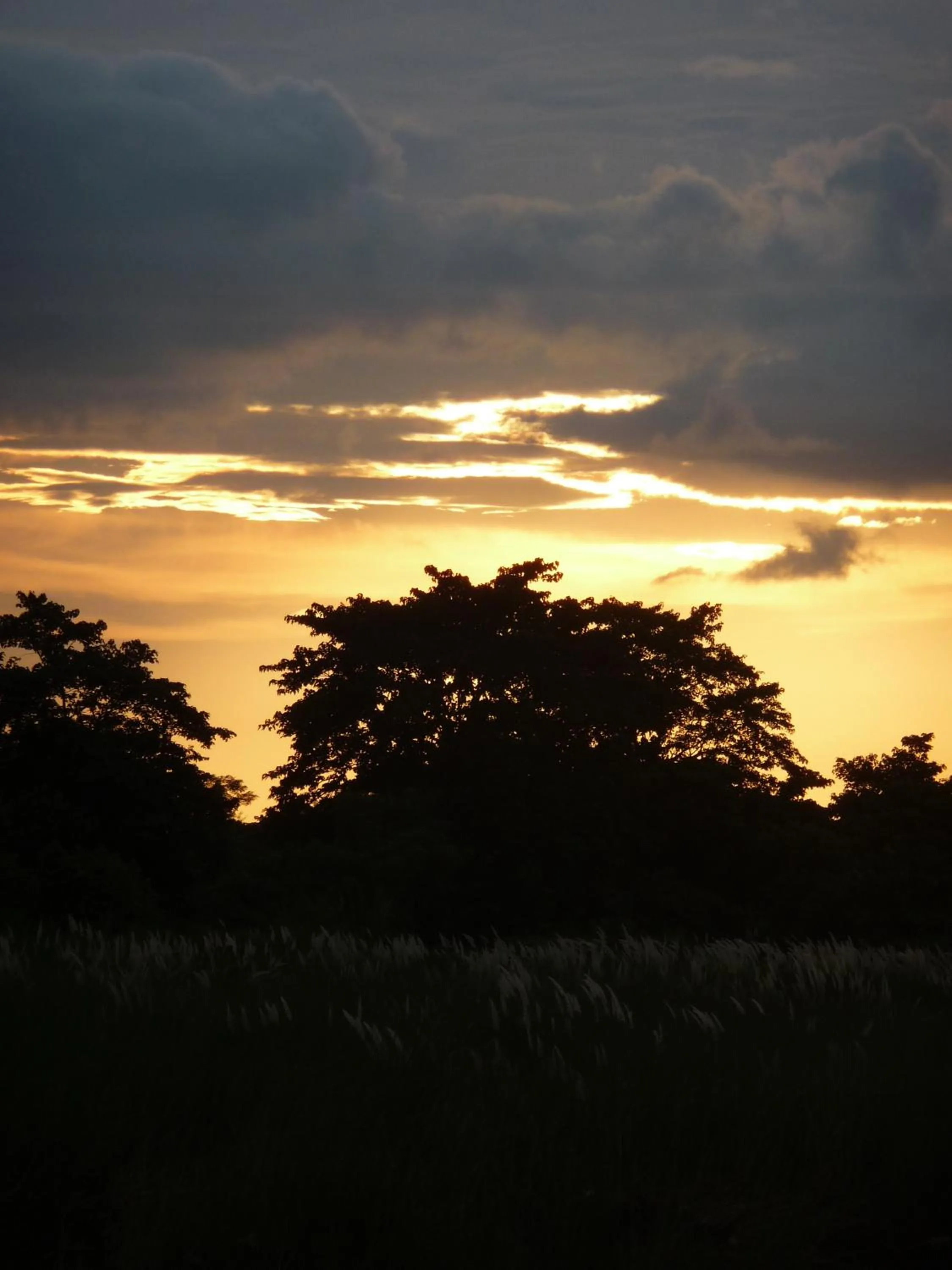 View (from property/room) in Hotel Milarepa Pvt Ltd