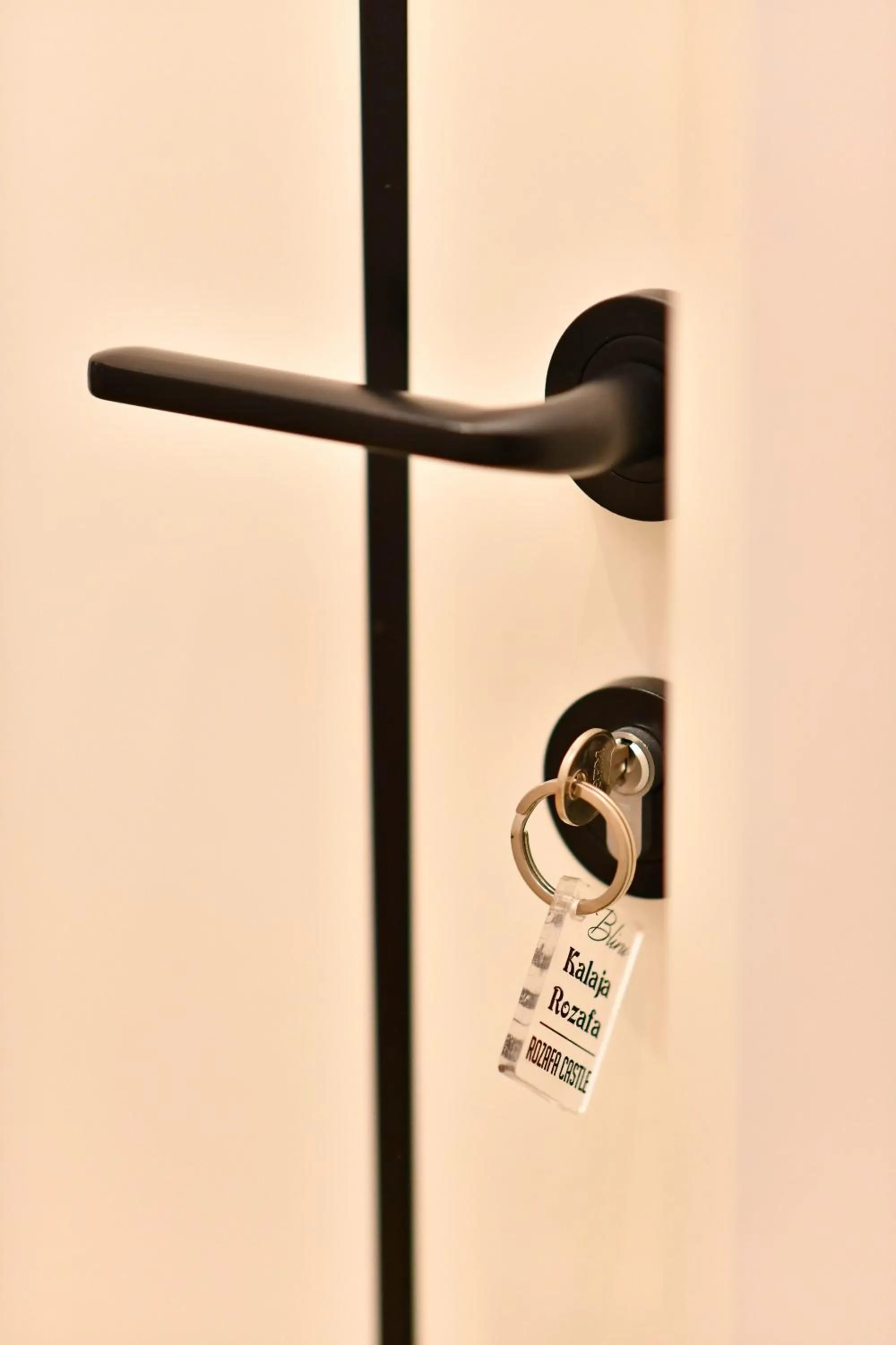 Decorative detail in Hotel Blini