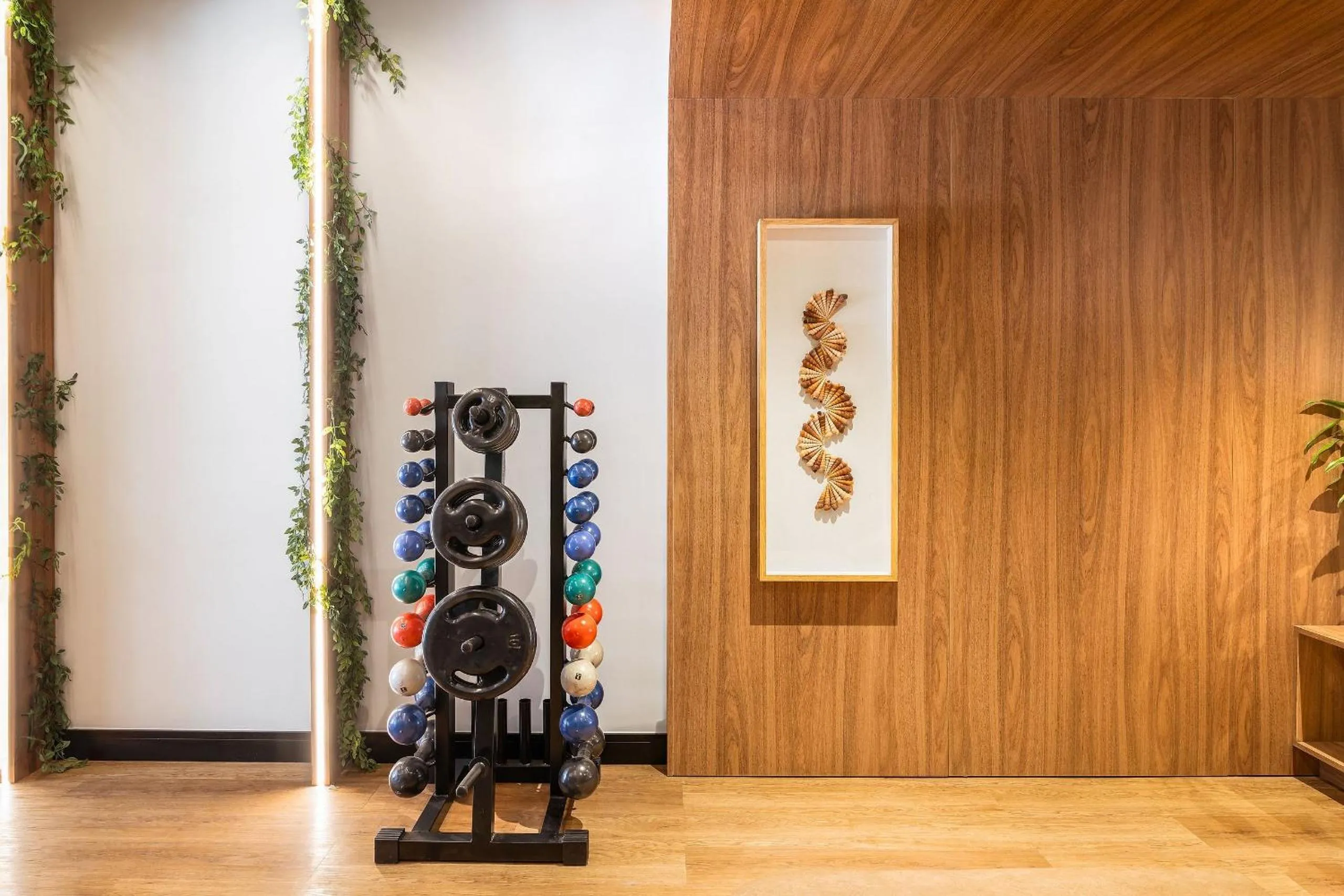 Area and facilities in Way Bossa #F2 - Studio no Bessa By Carpediem