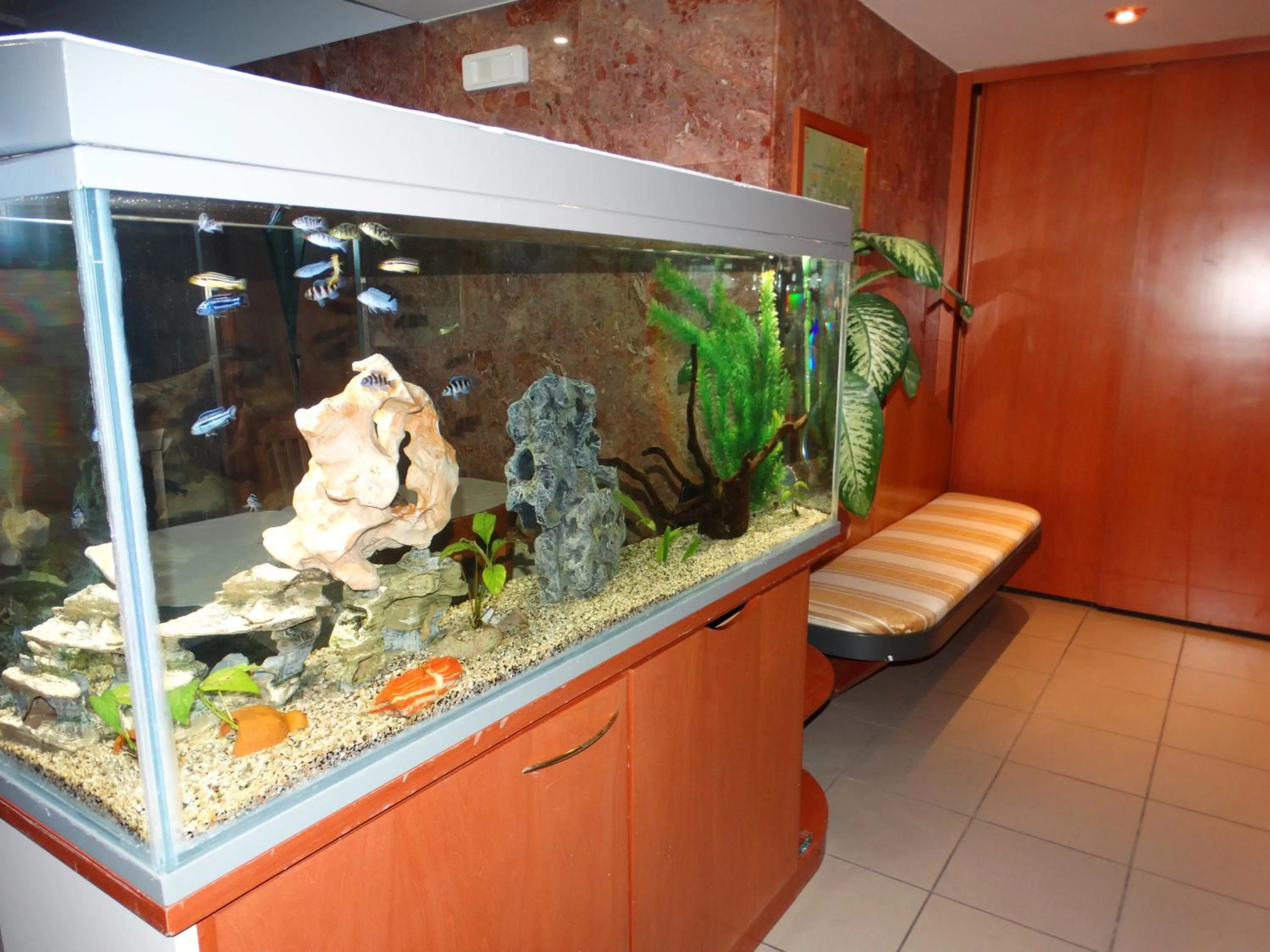 Lobby or reception in Hotel Moderno