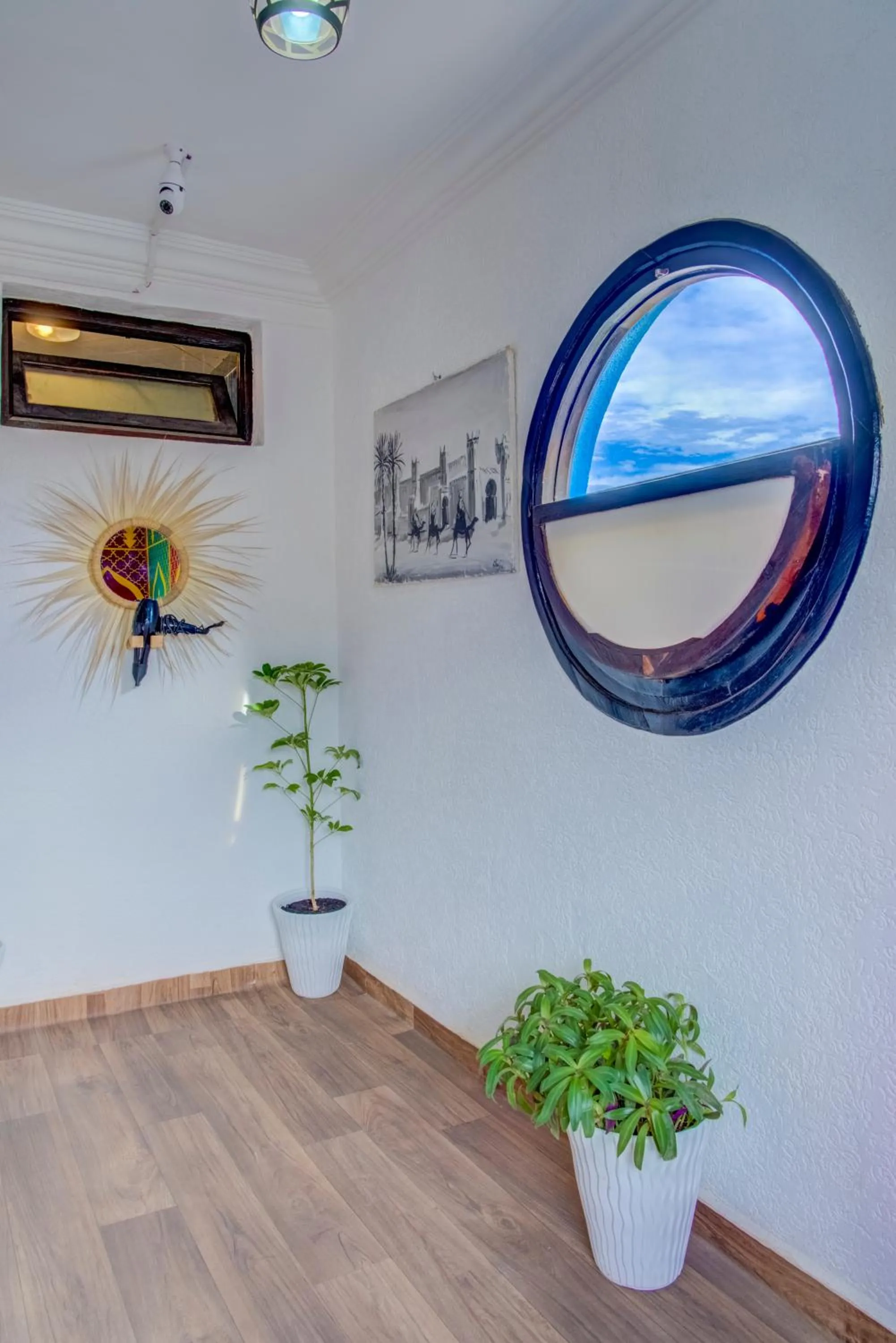 Property building in Dinosaur Anza Surf House