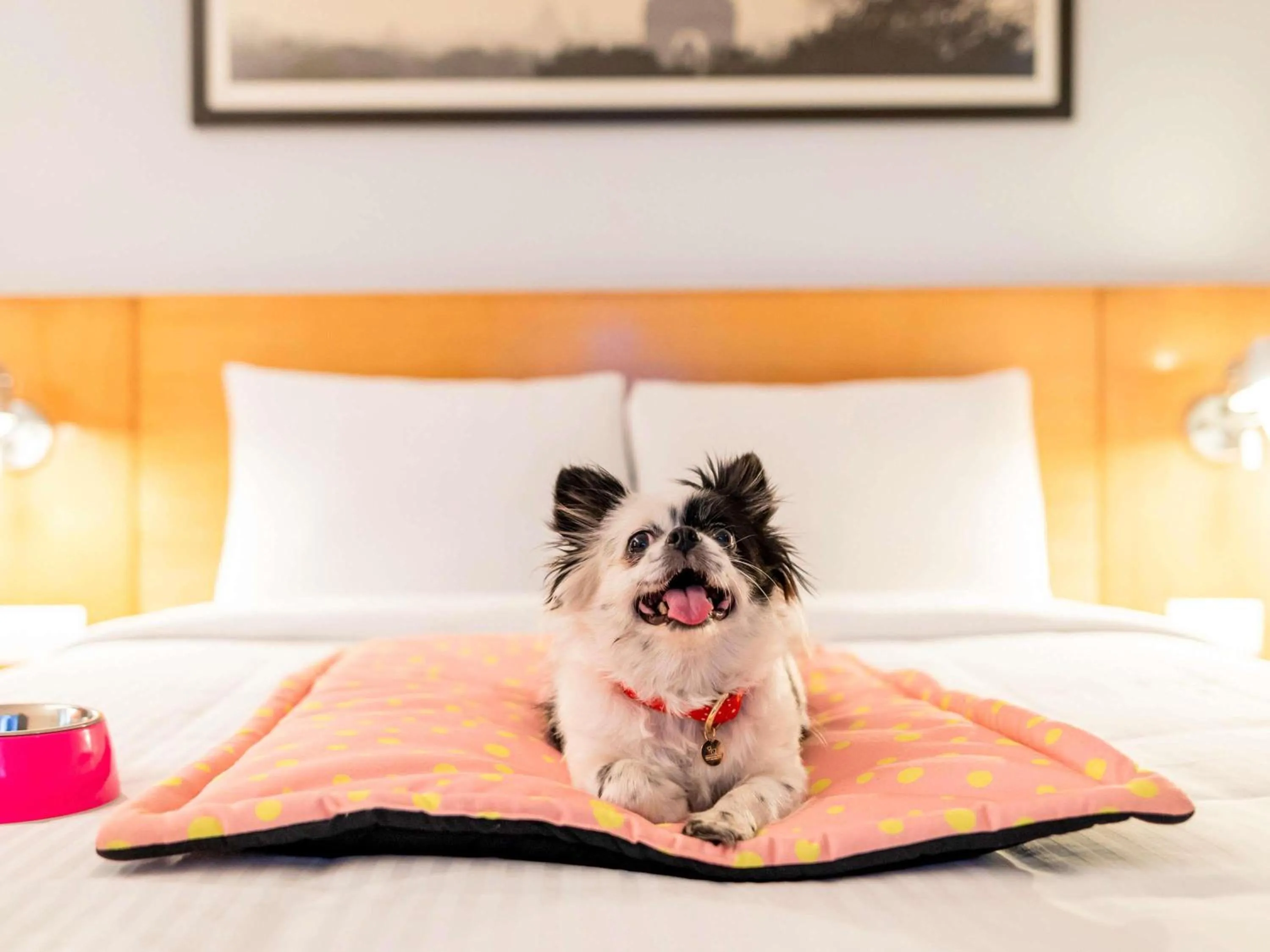 Property building, Bed in ibis Chennai Sipcot - An Accor Brand