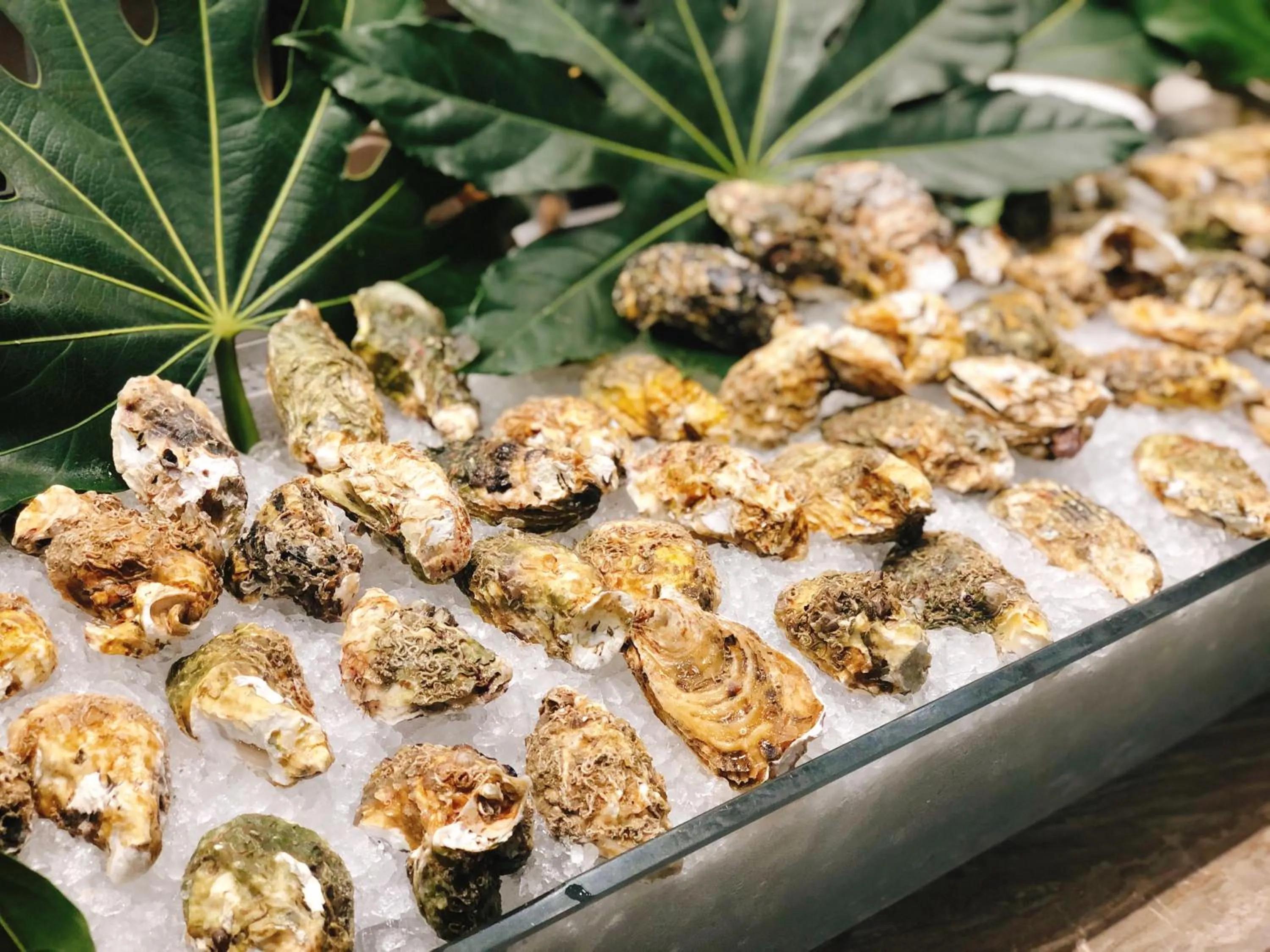 Food in Pullman Changshu Leeman