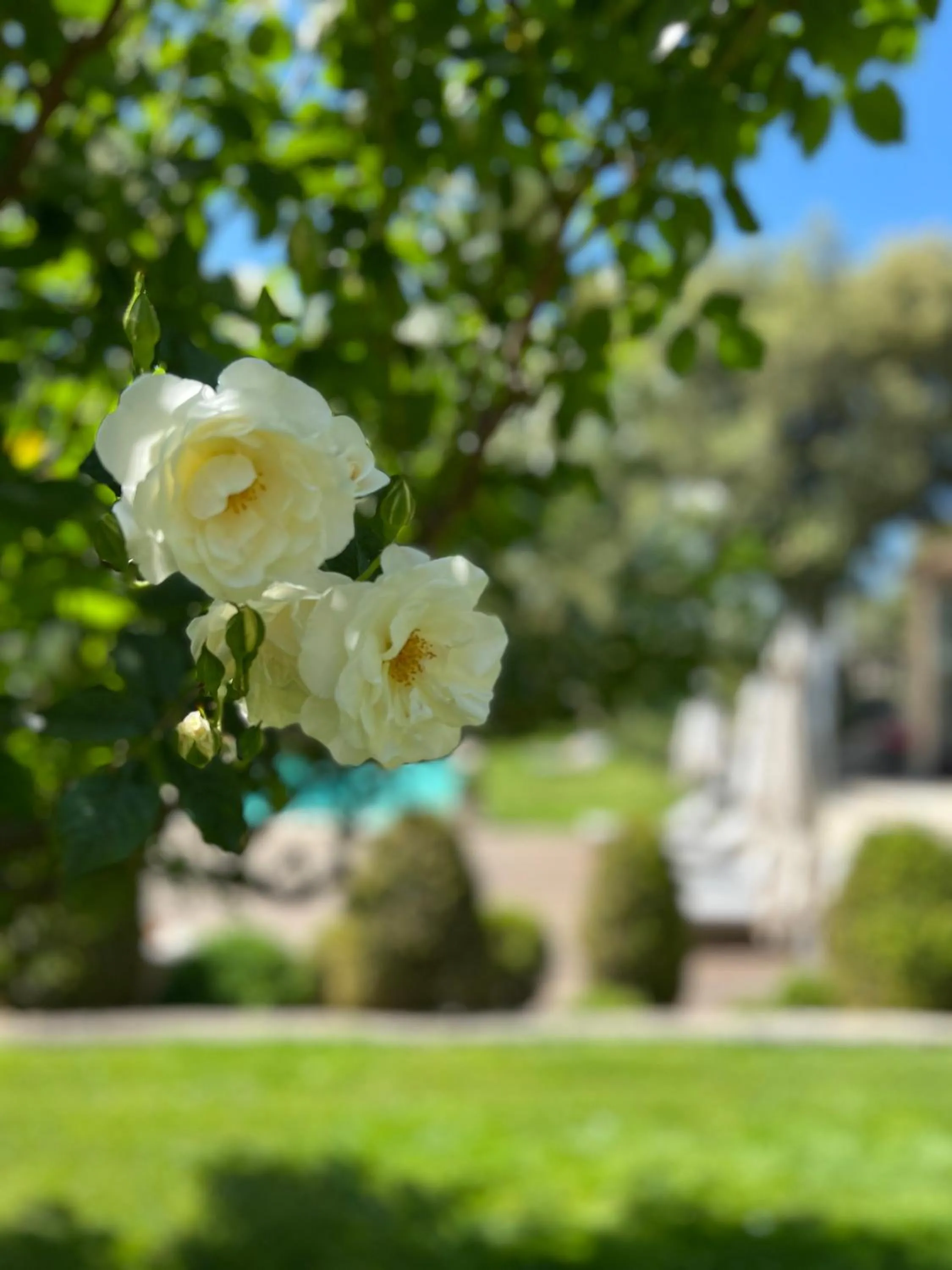 Garden in Villa Hautvallon - Peaceful Escape in Provence