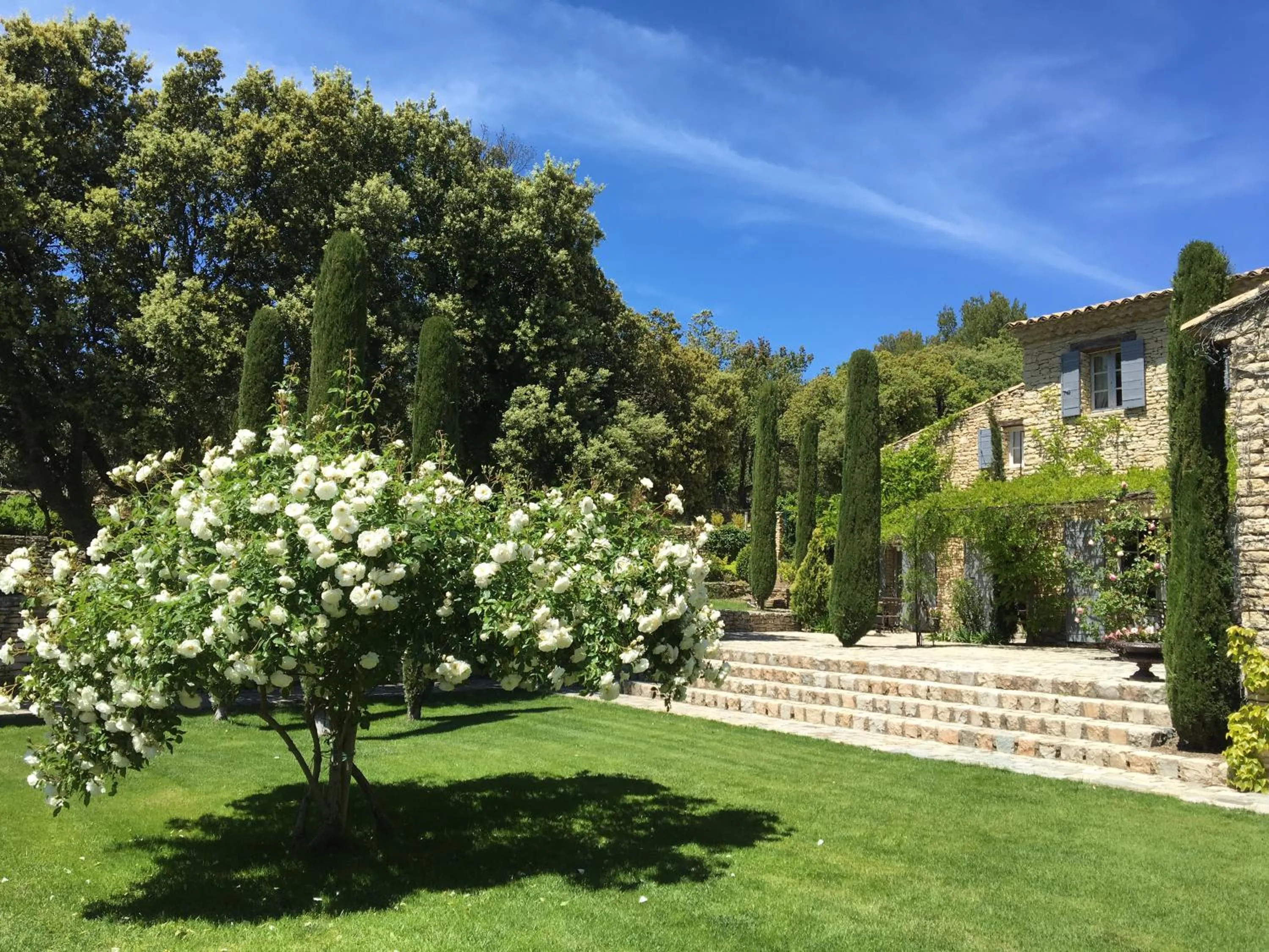 Natural landscape in Villa Hautvallon - Peaceful Escape in Provence