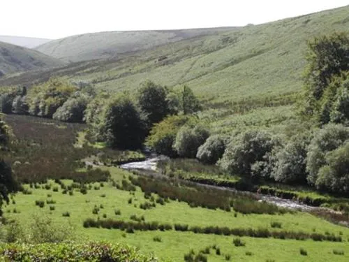 View (from property/room) in Simonsbath House Hotel