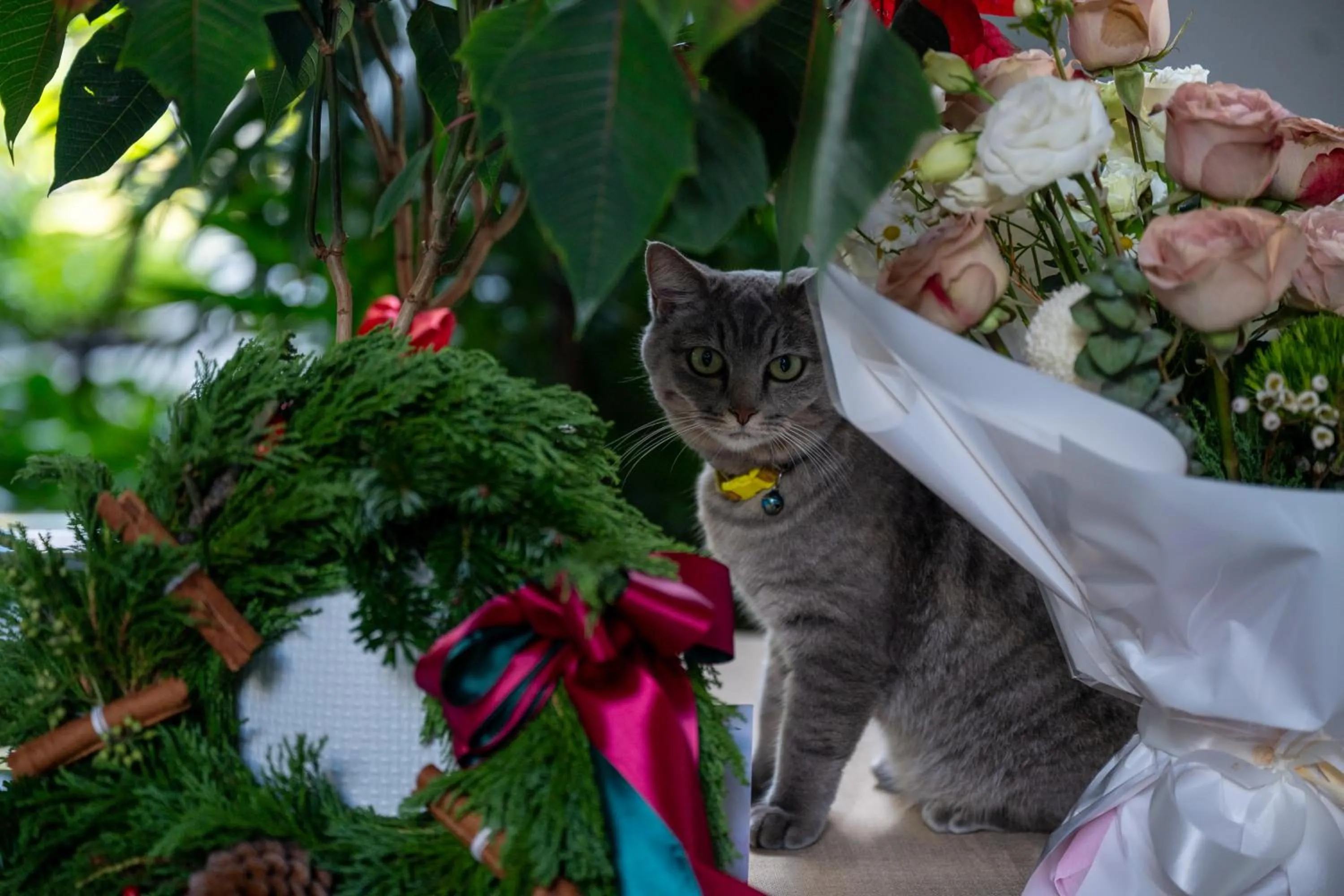 Activities in HOMA Cherngtalay Phuket