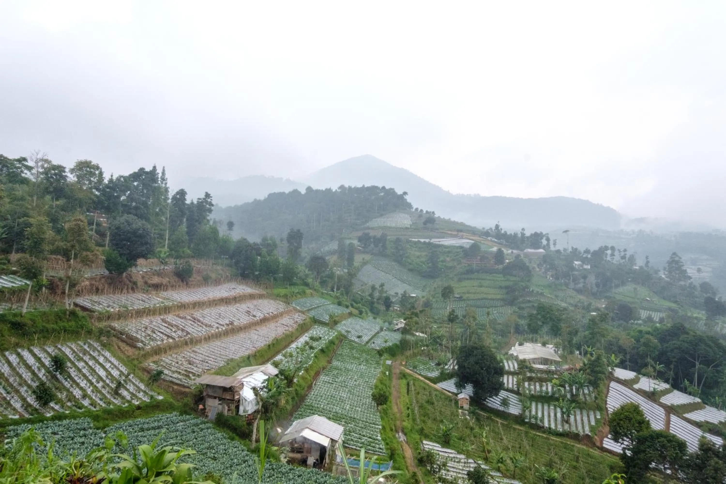 Hilltop Camp, Lembang