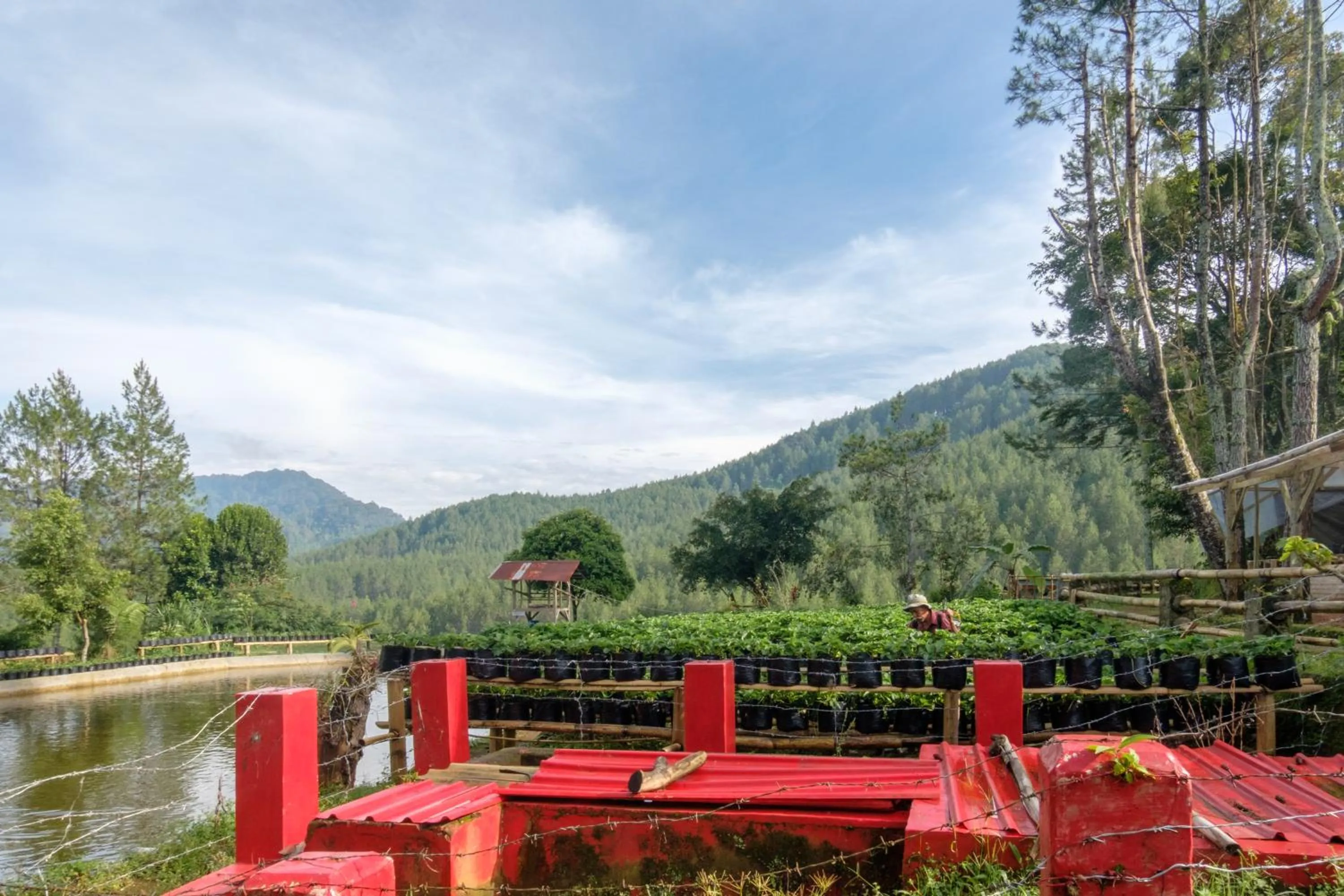 Hilltop Camp, Lembang