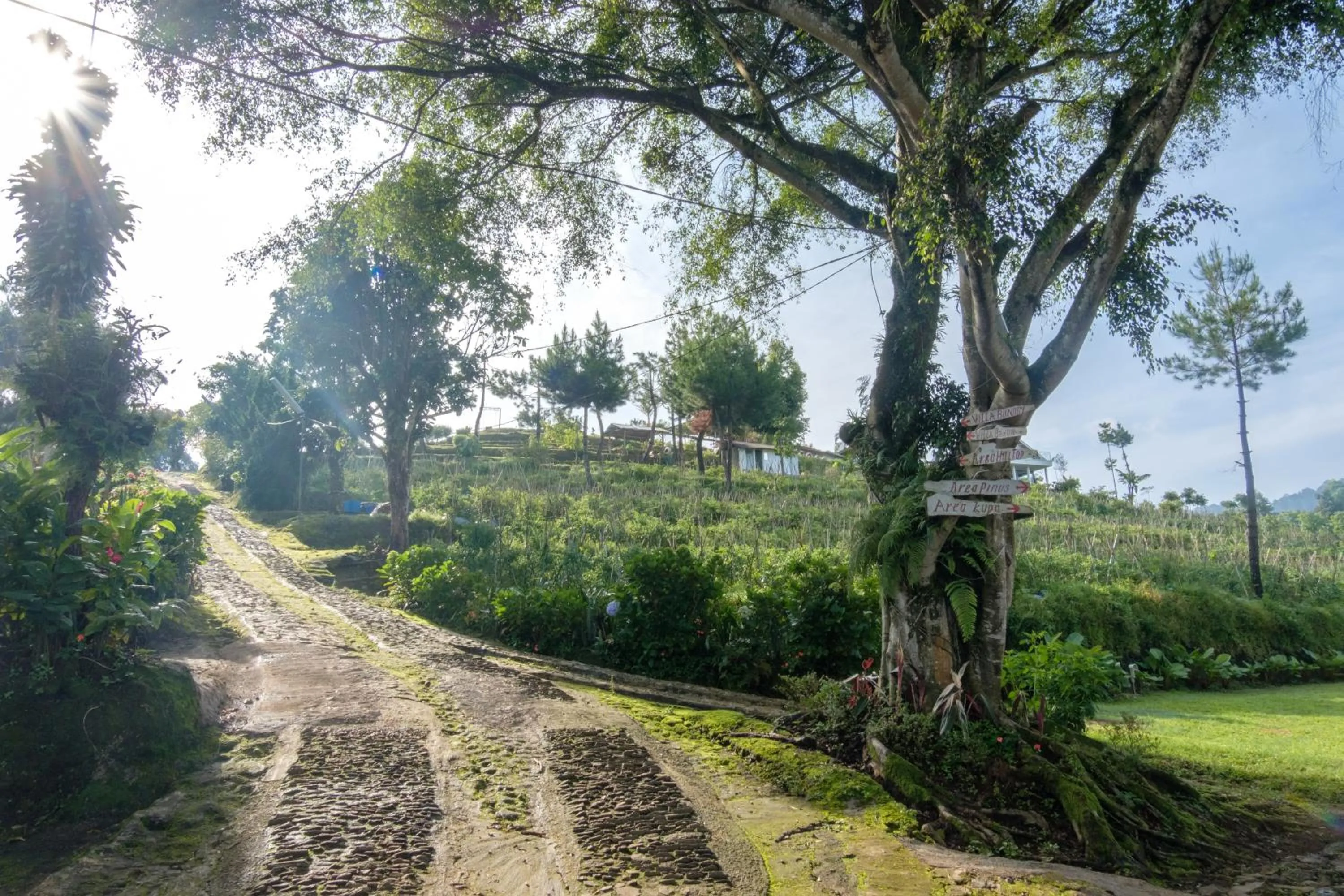 Hilltop Camp, Lembang