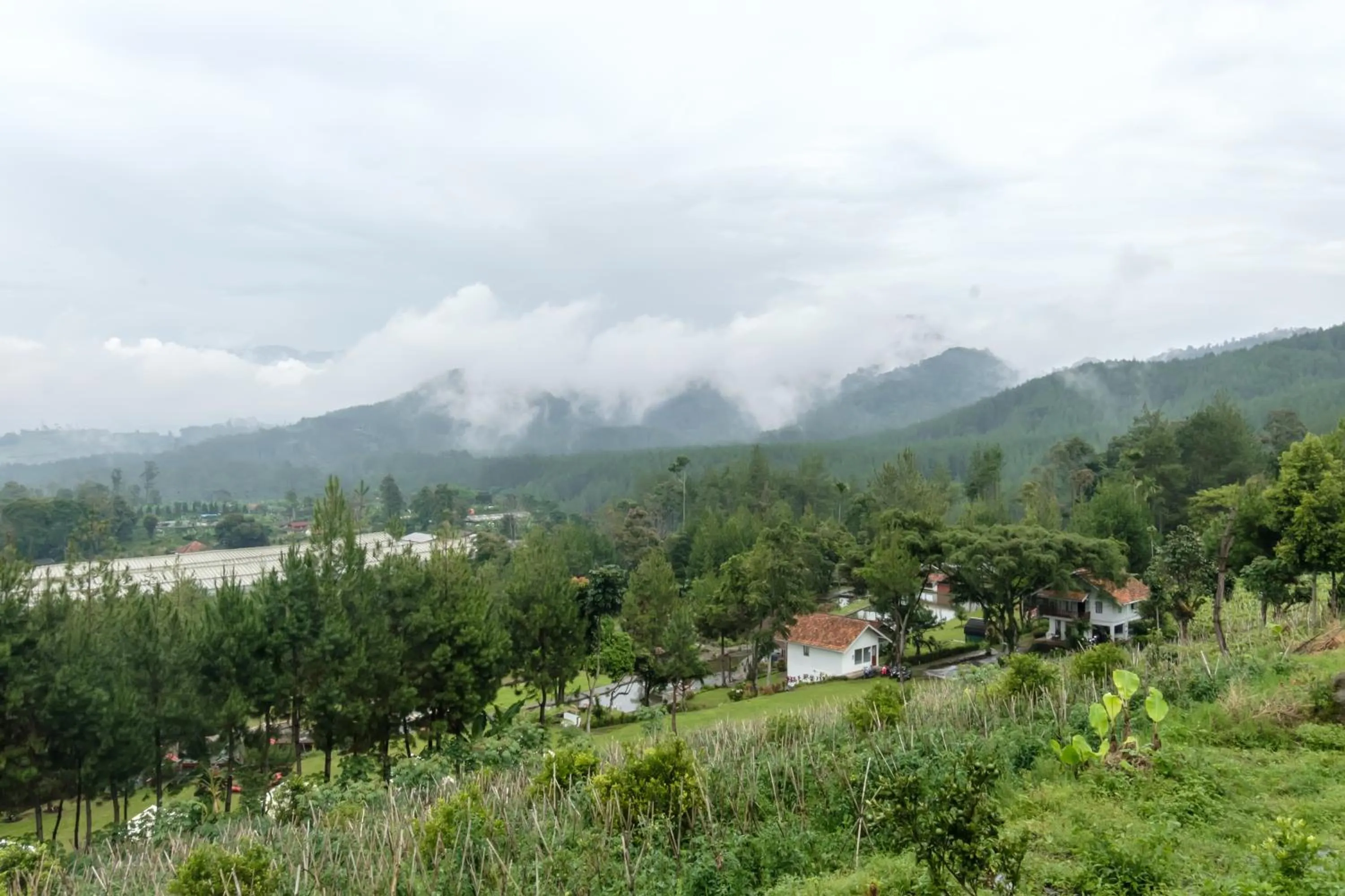 Hilltop Camp, Lembang
