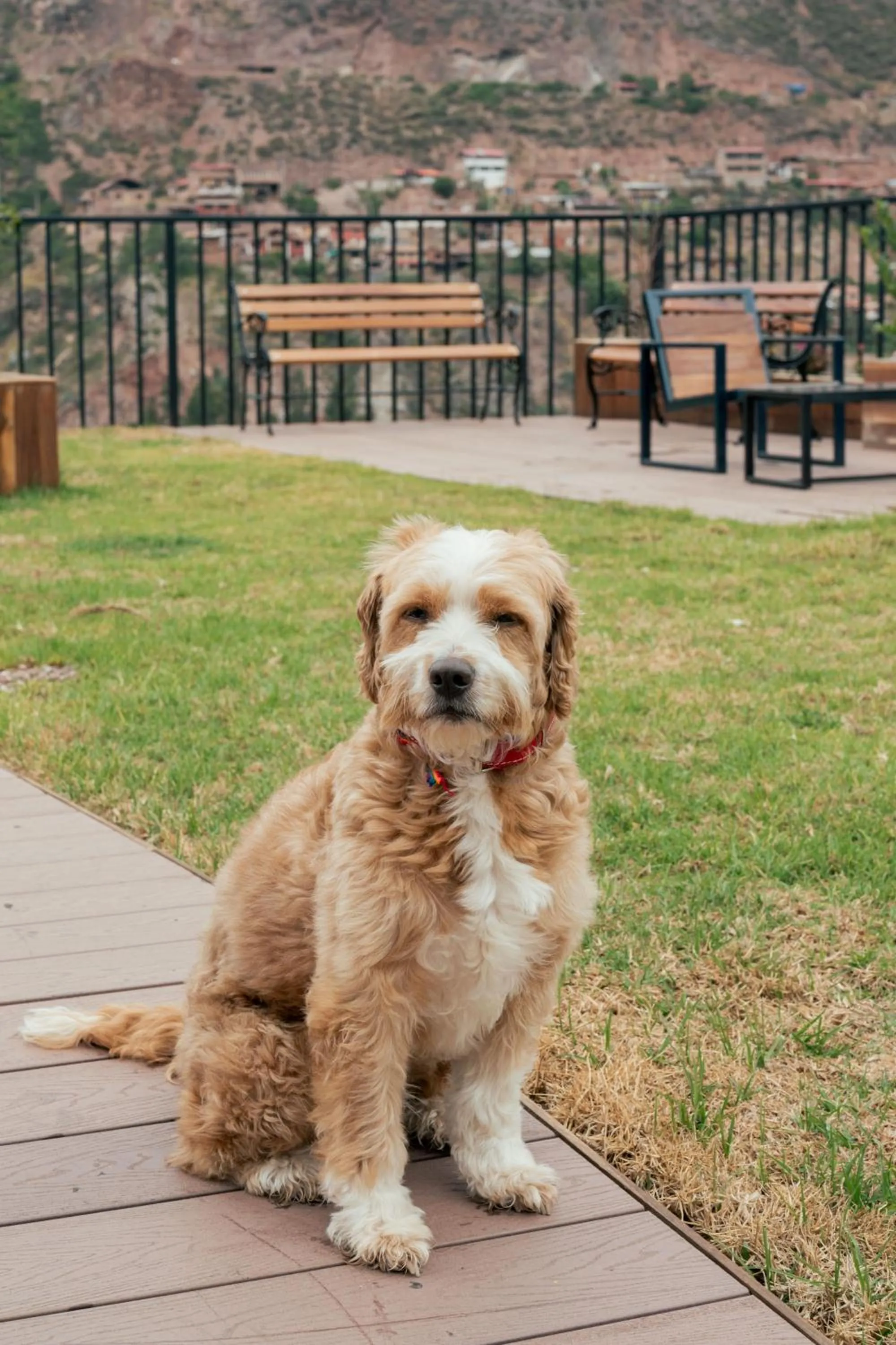 Garden in Hotel California Urubamba