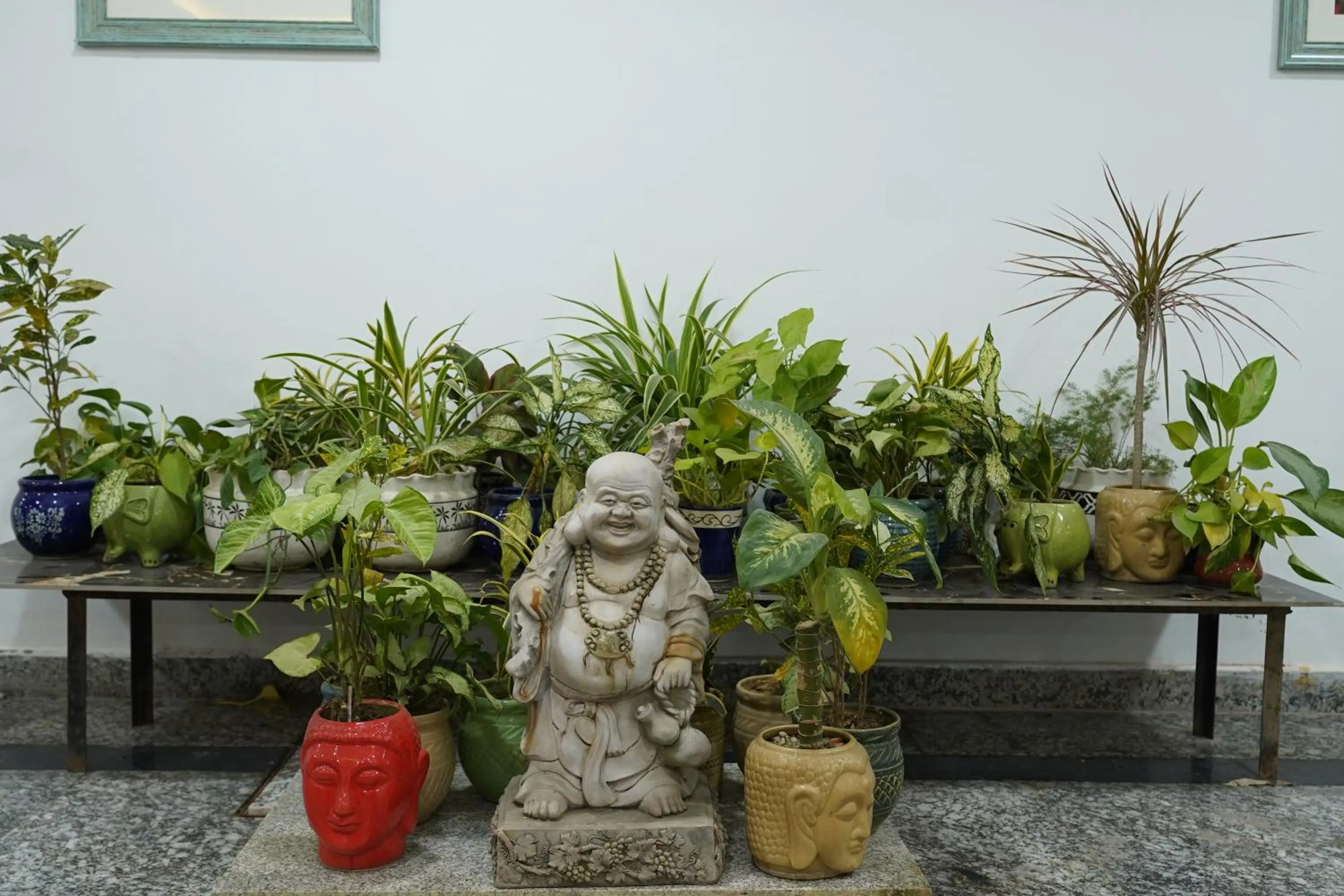 Garden in Posh Garden Inn Artemis Hospital Road Gurgaon