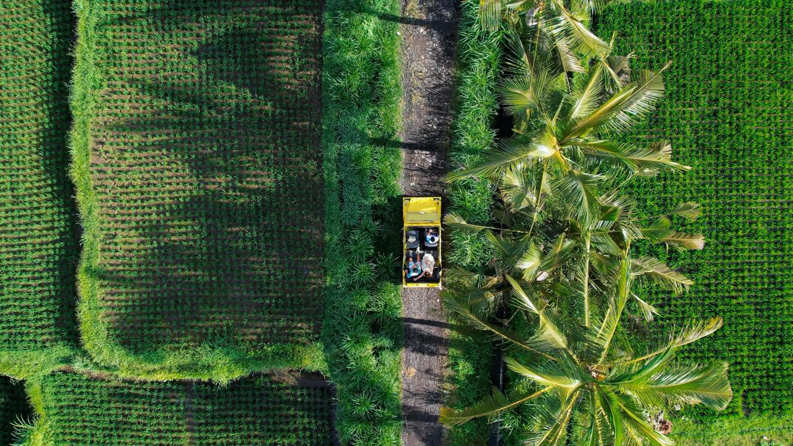 Activities in The Ridge Bali