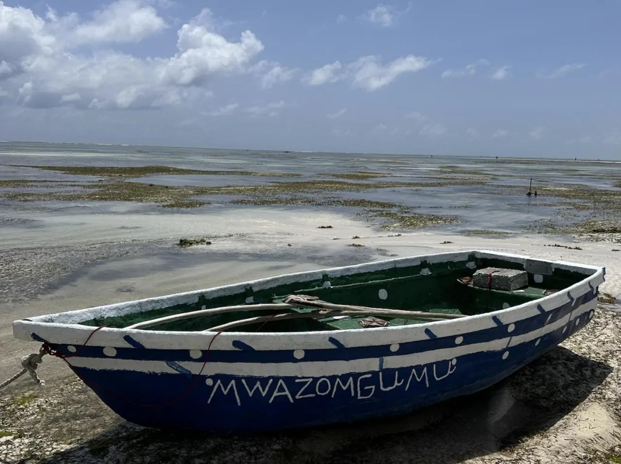 Entertainment in Kiwengwa Bungalow Boutique Resort