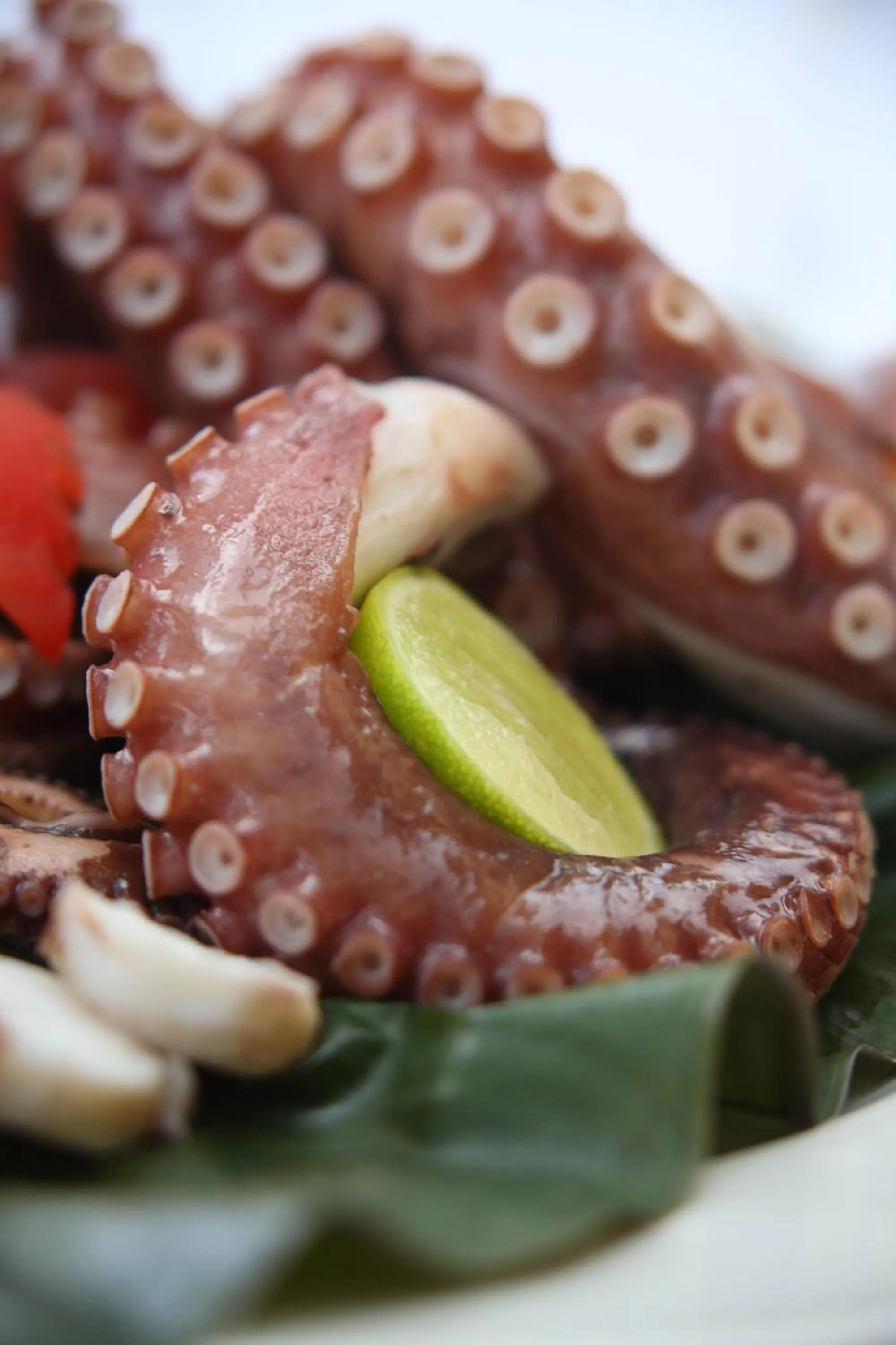 Food close-up in Kiwengwa Bungalow Boutique Resort