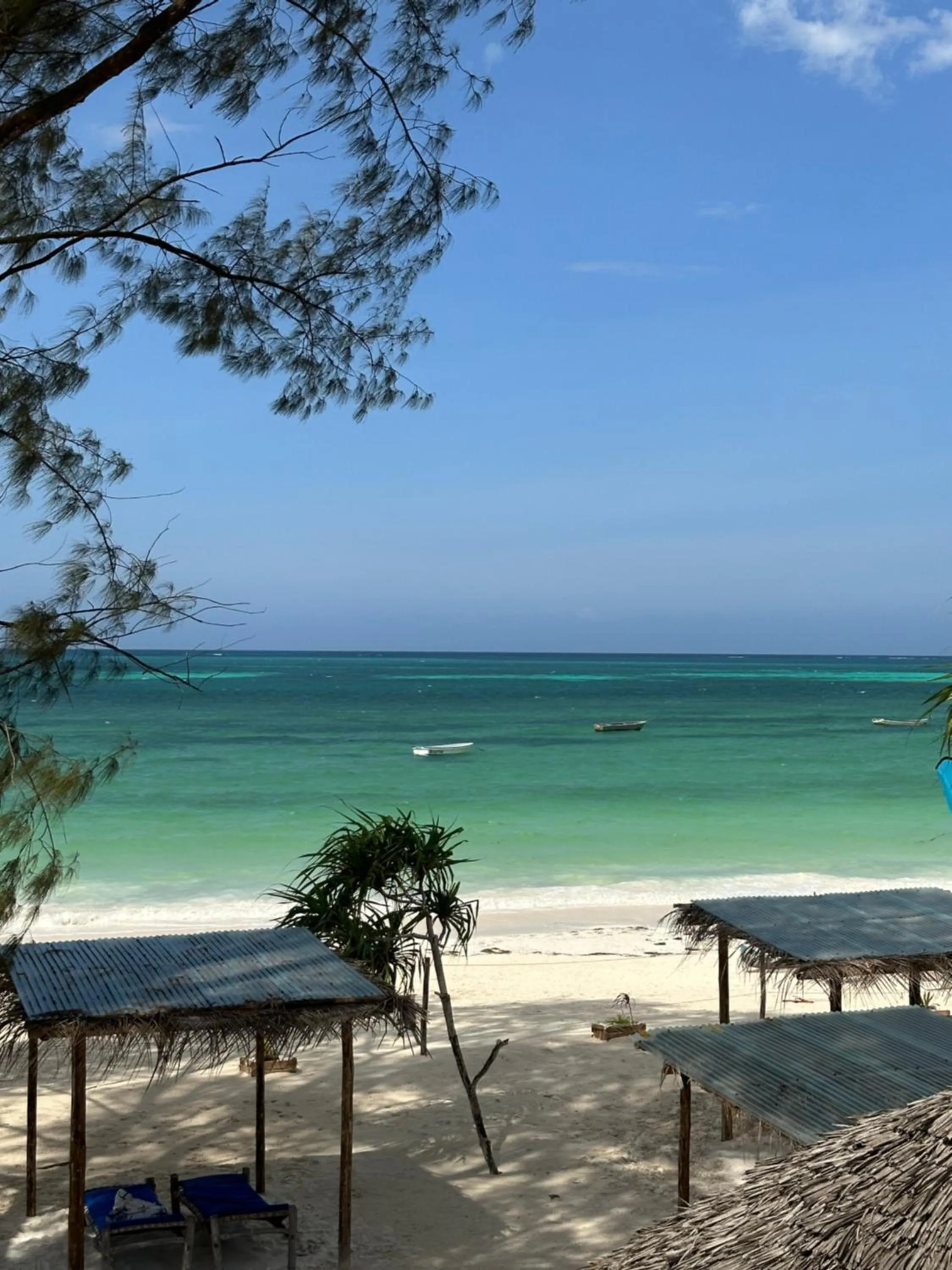 Beach in Kiwengwa Bungalow Boutique Resort