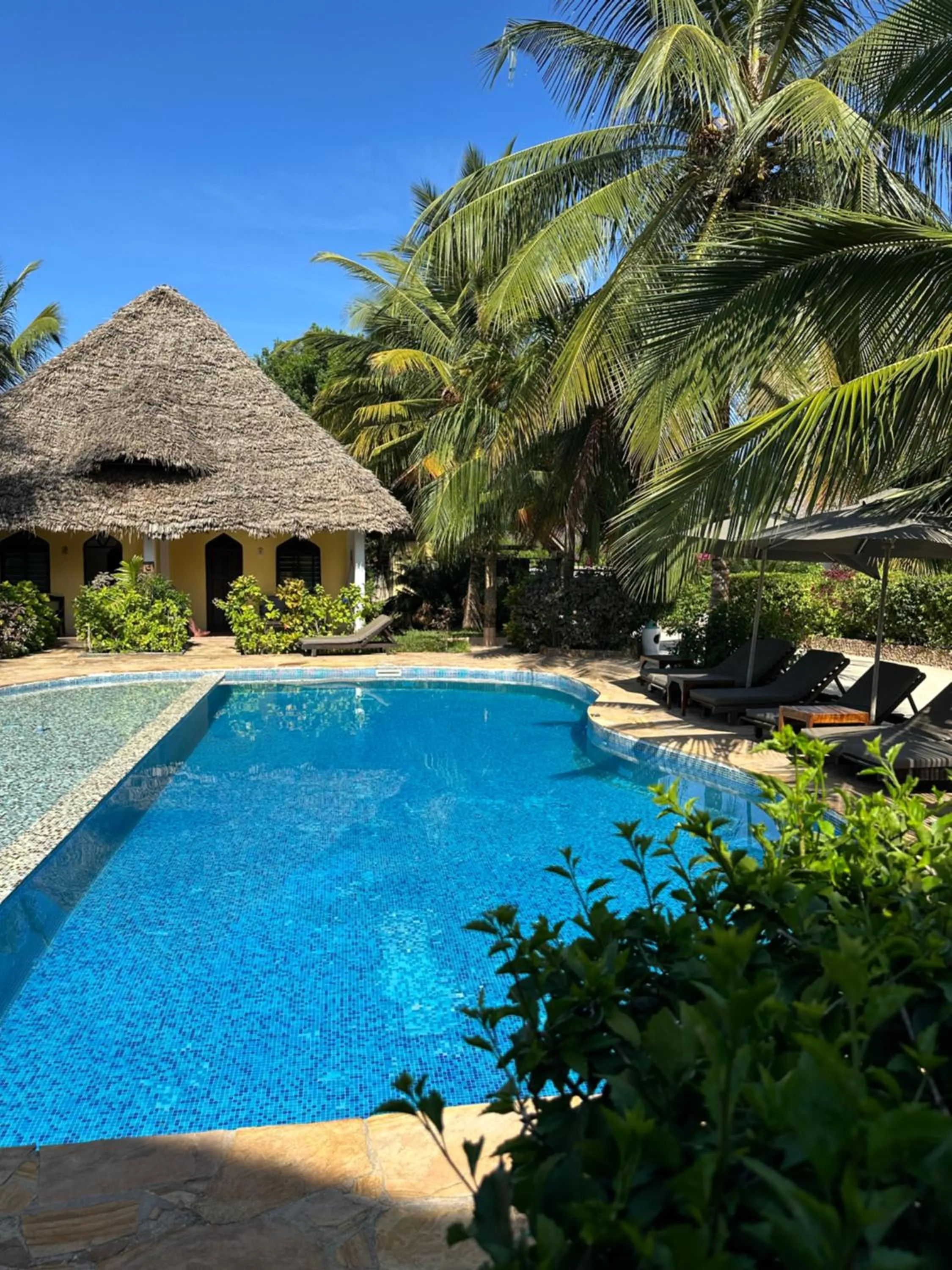 Property building in Kiwengwa Bungalow Boutique Resort