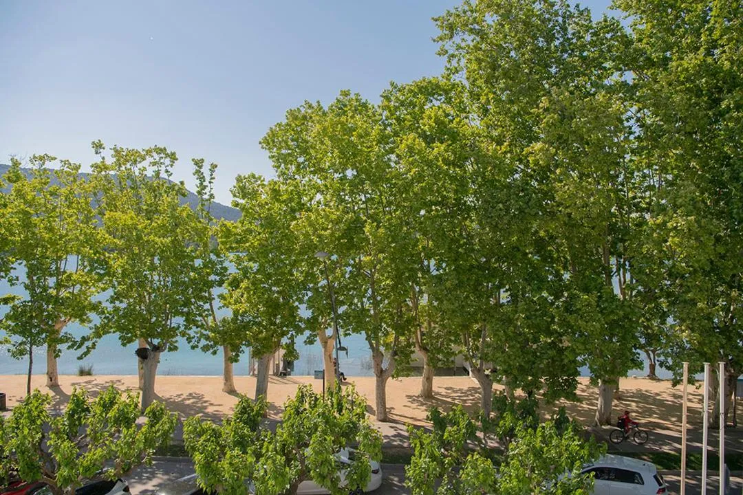 Natural landscape in APARTAMENTS LA CARPA