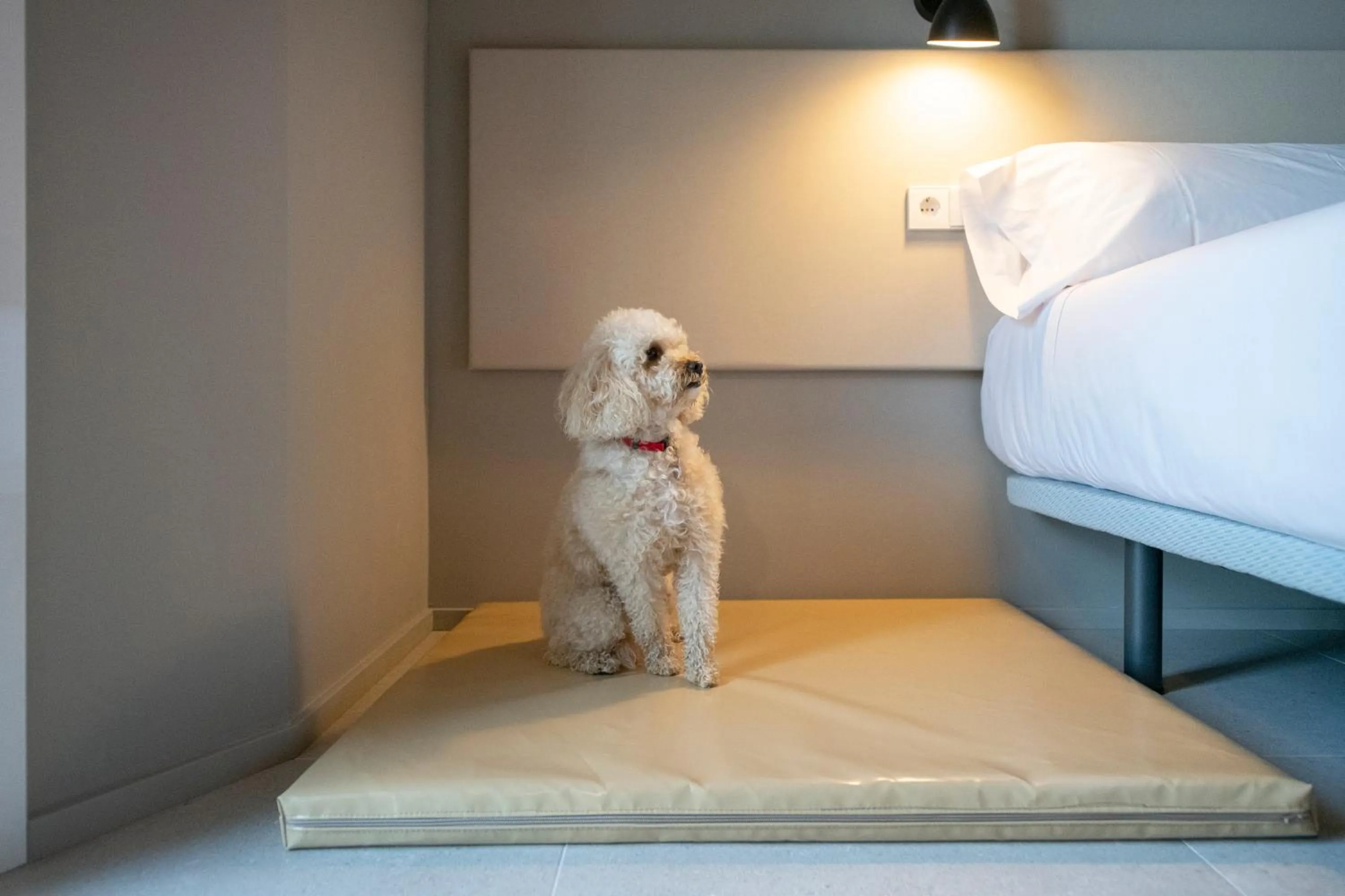 Bed in APARTAMENTS LA CARPA
