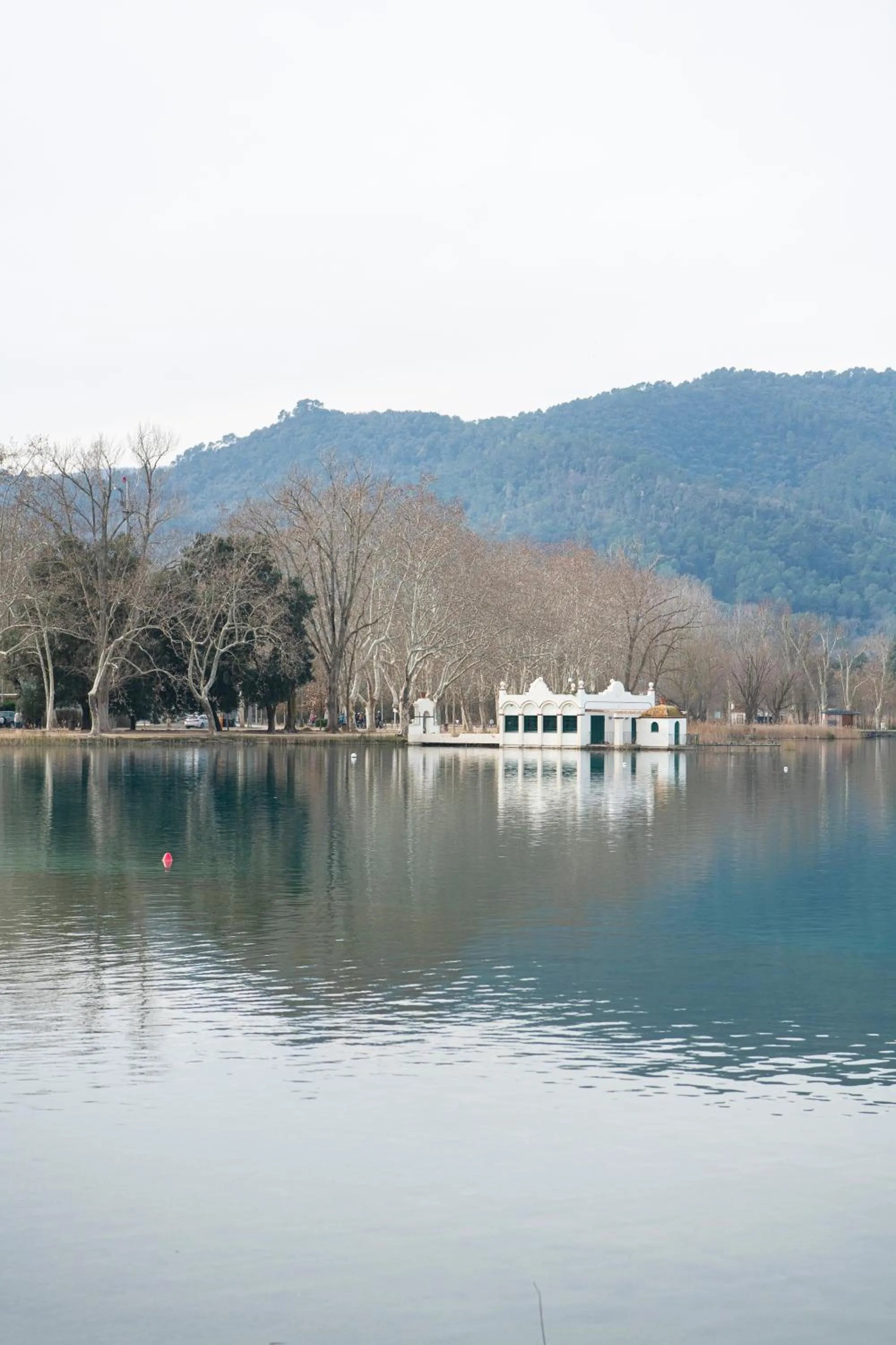 Lake view in APARTAMENTS LA CARPA