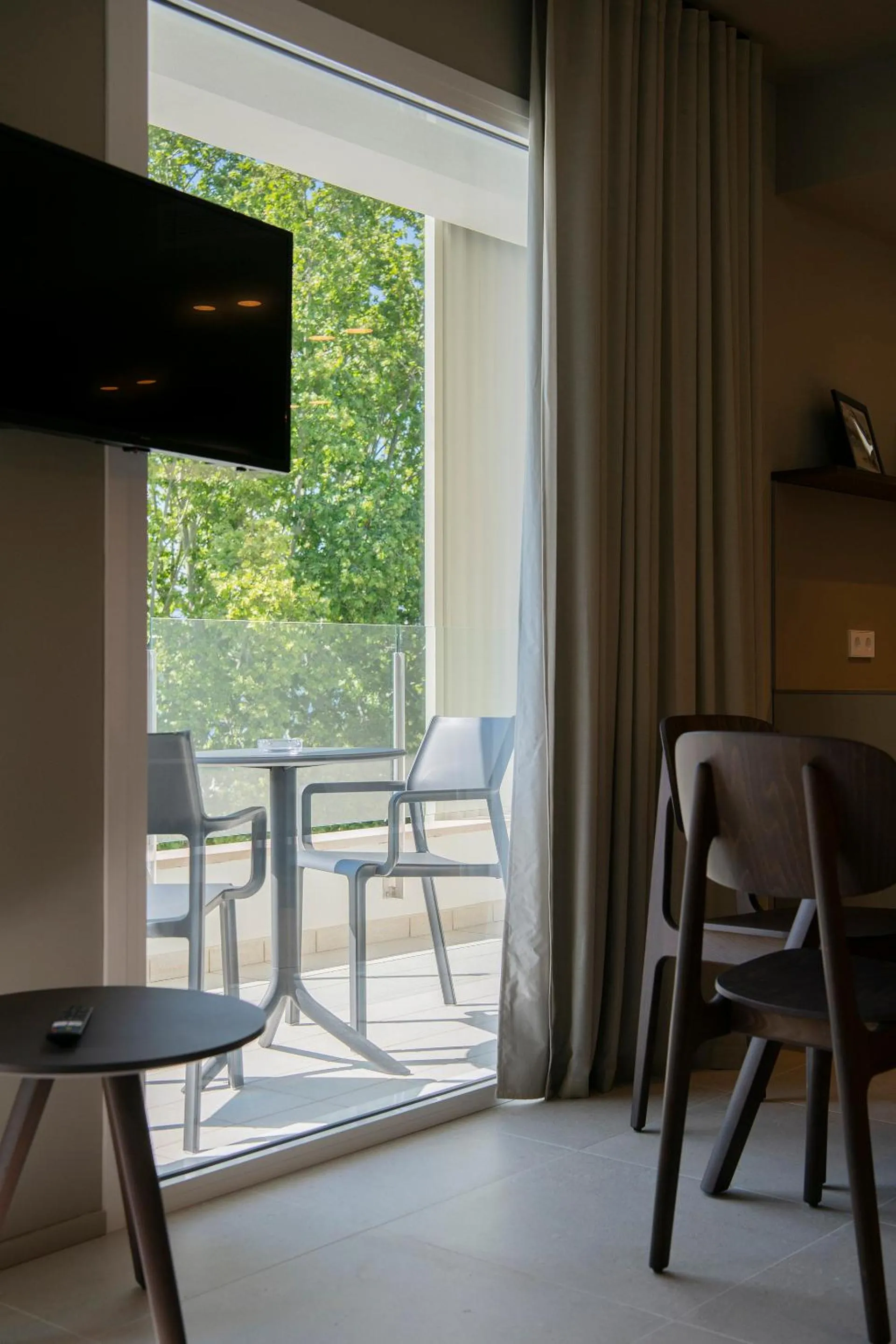 TV and multimedia in APARTAMENTS LA CARPA