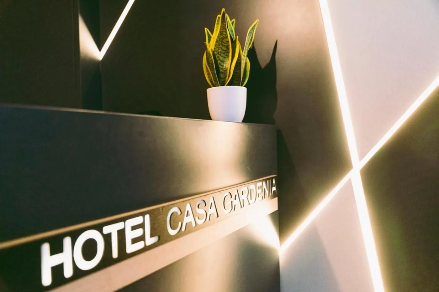 Lobby or reception in Hotel Casa Gardenia