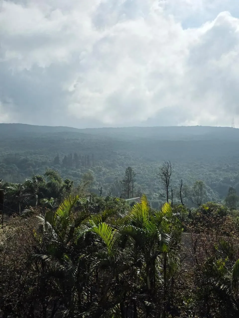 Mountain view in Cloud Green Resort