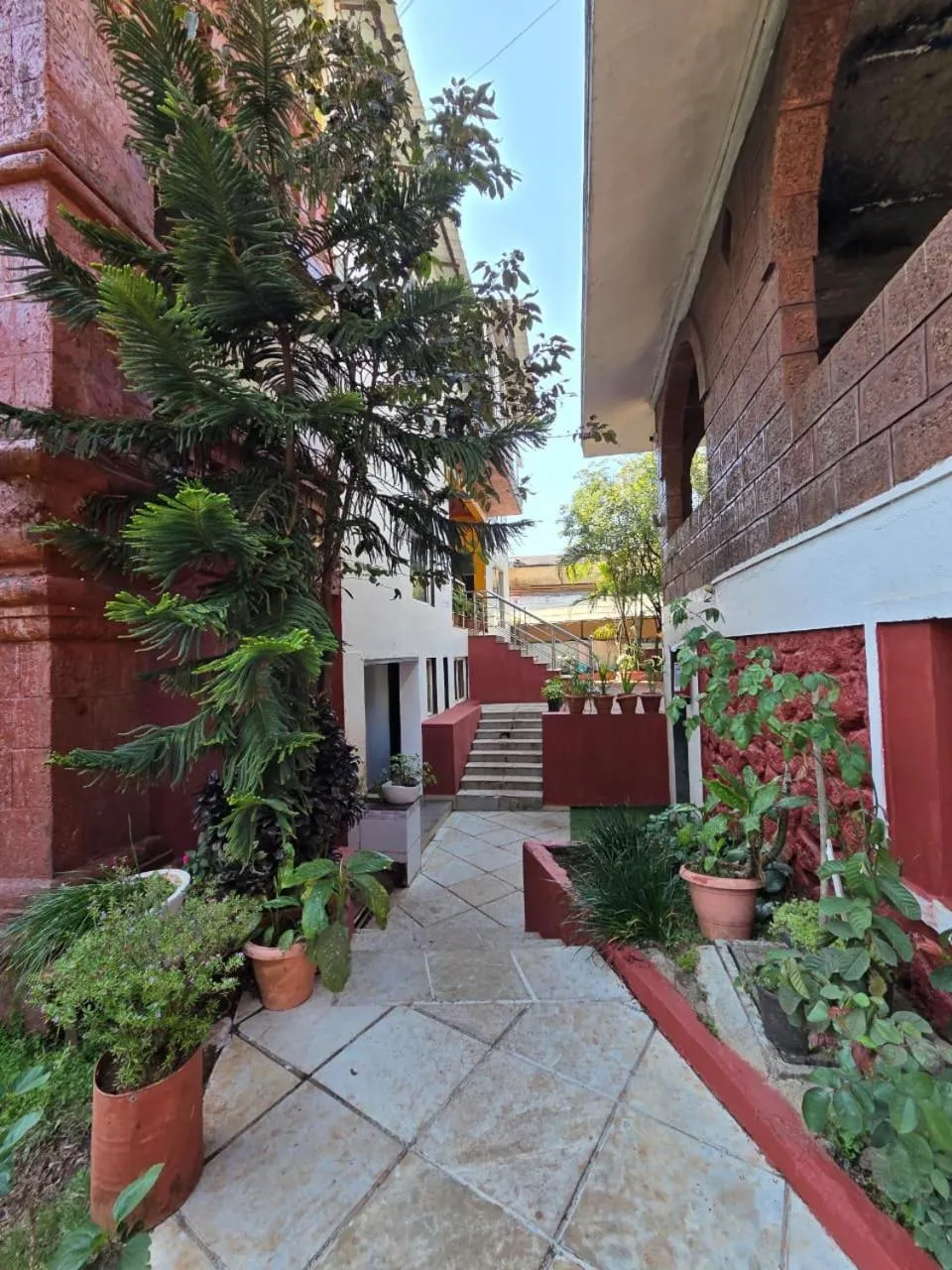 Garden view in Cloud Green Resort