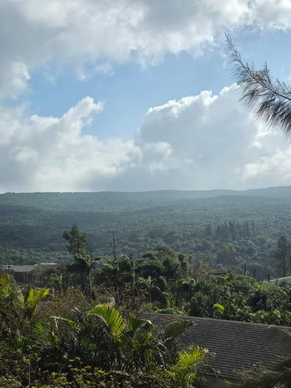 View (from property/room) in Cloud Green Resort