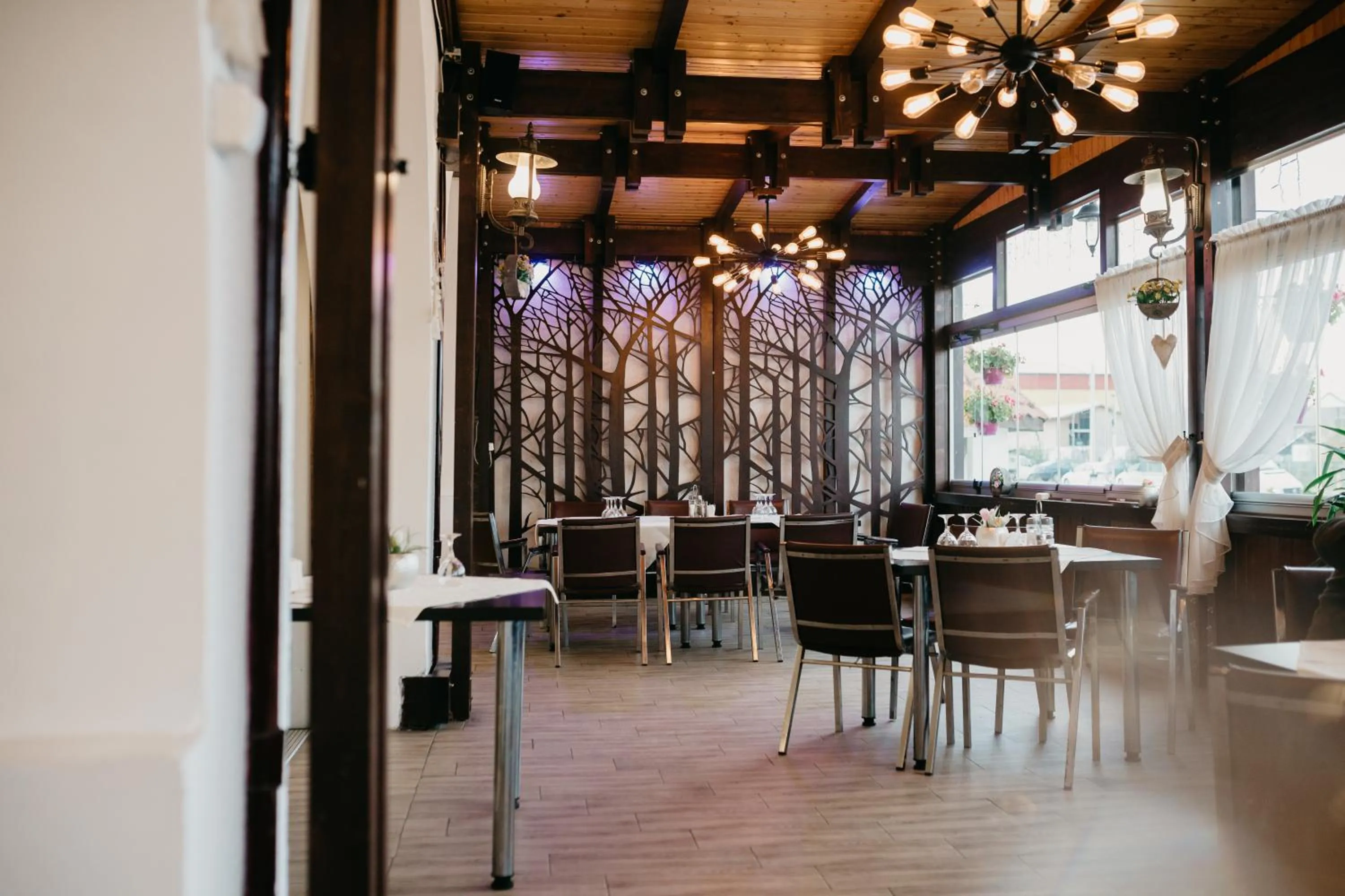 Balcony/Terrace in PENSIUNEA ANA