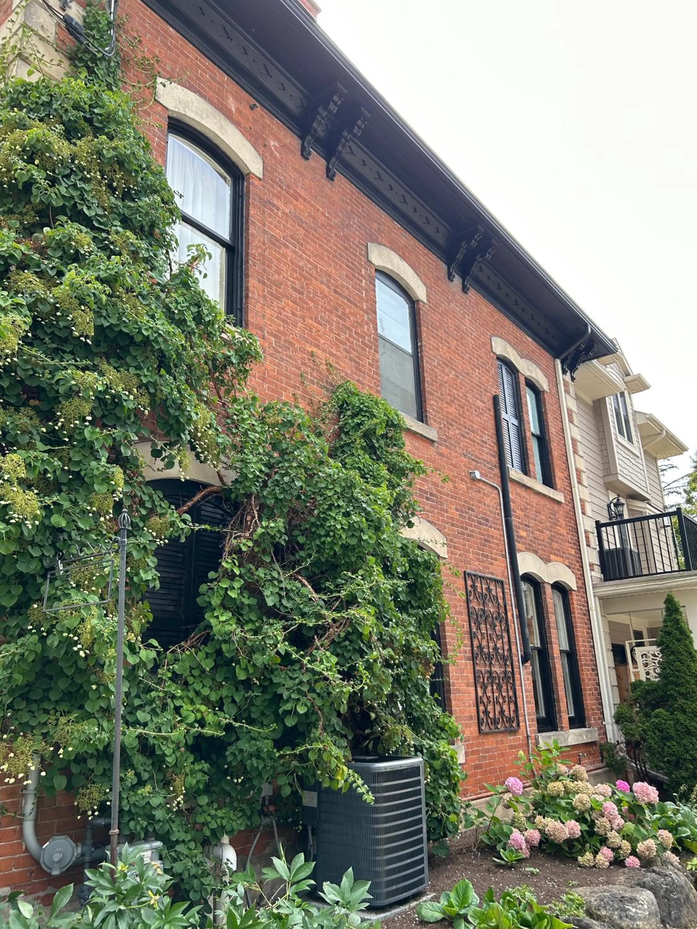 Norfolk Guest House Inn