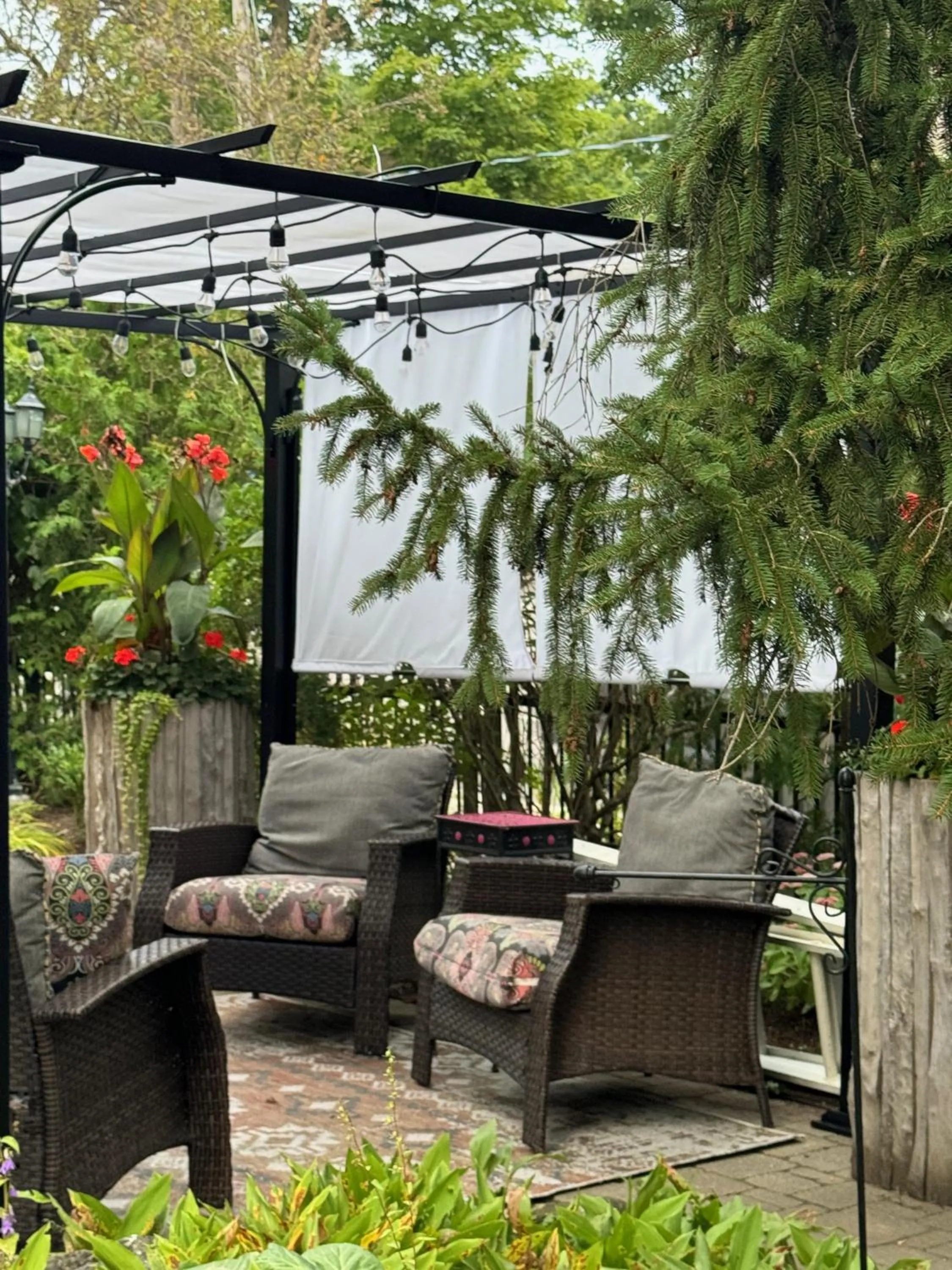 Norfolk Guest House Inn