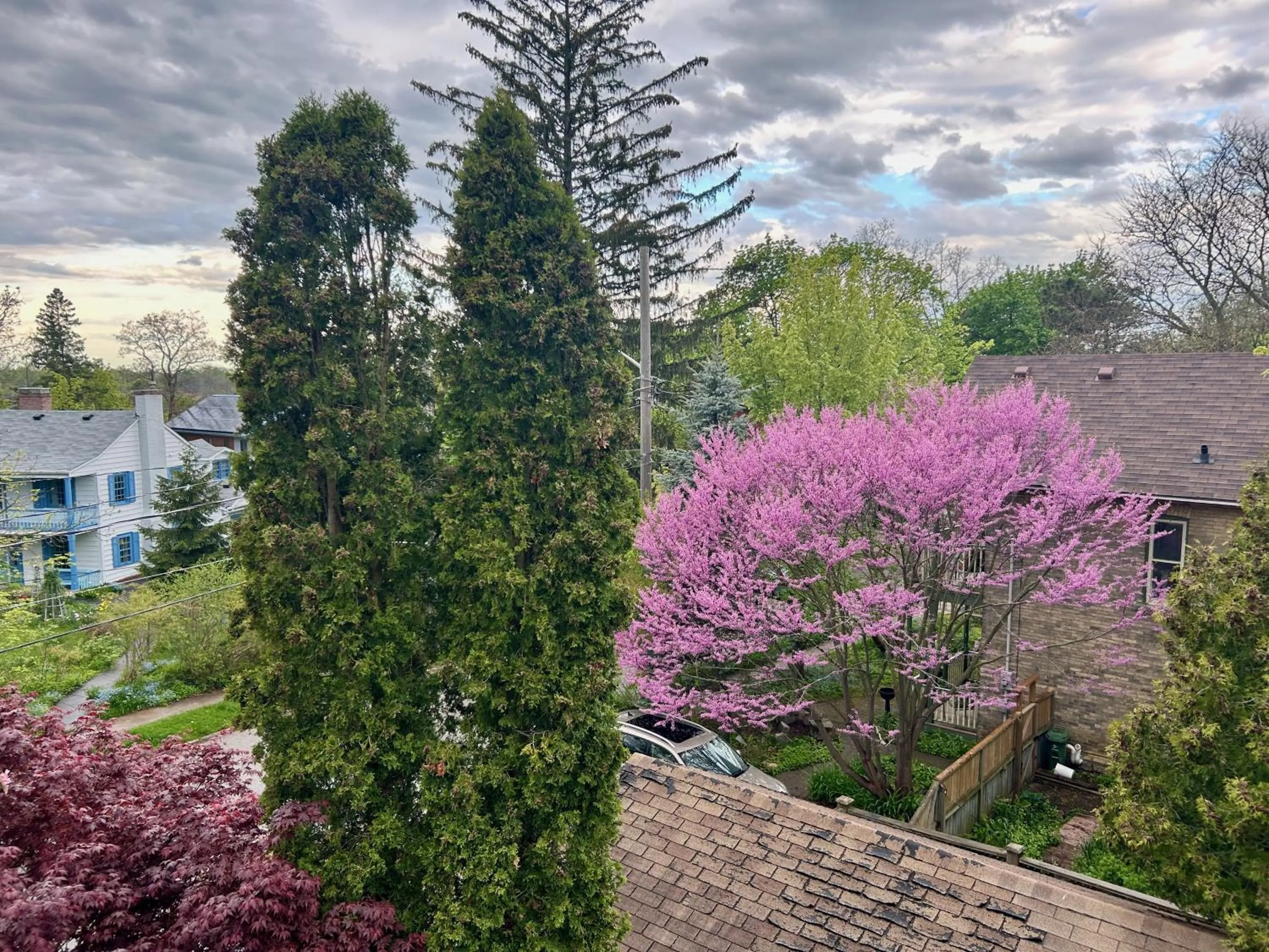 Norfolk Guest House Inn