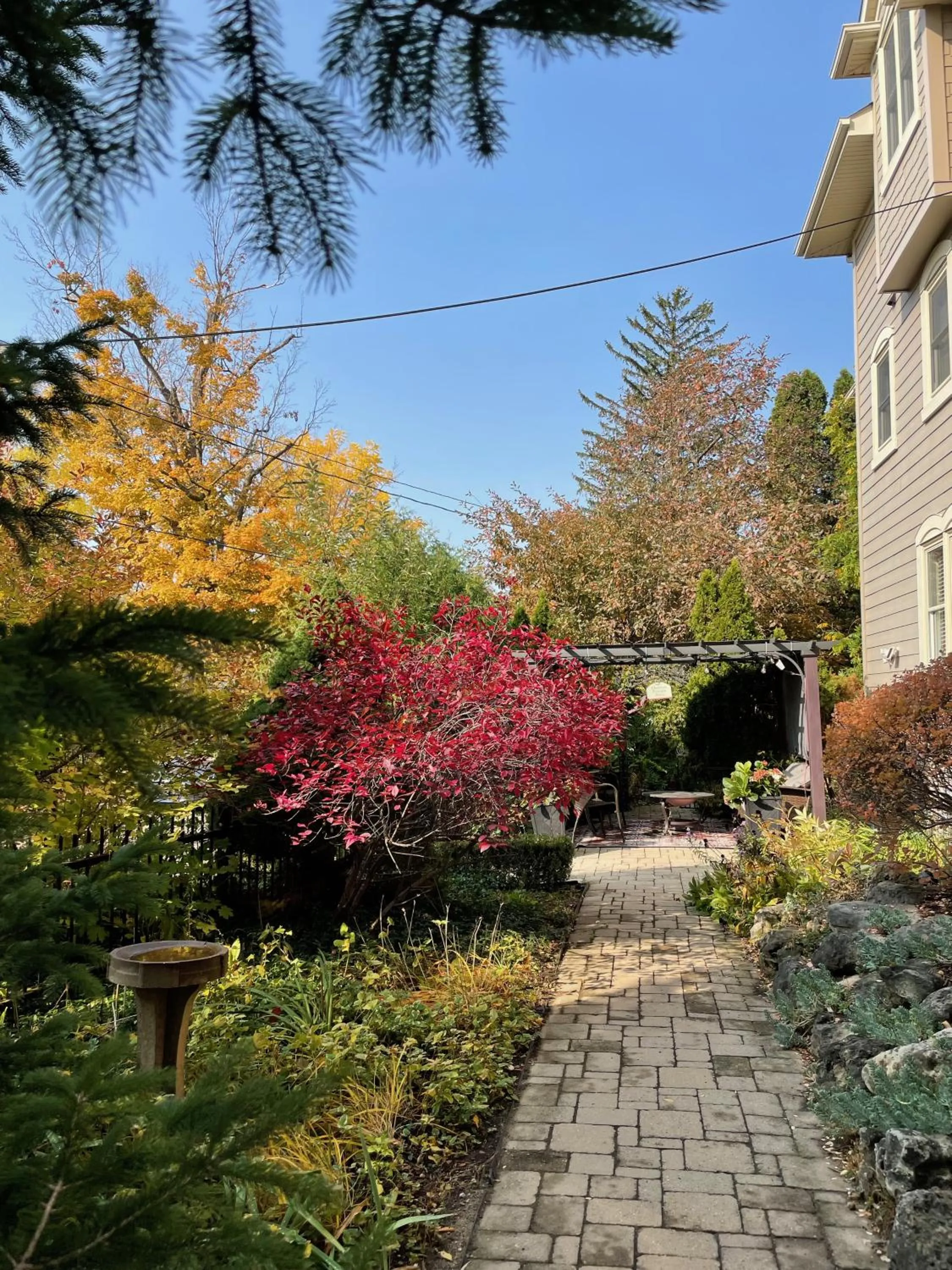 Norfolk Guest House Inn