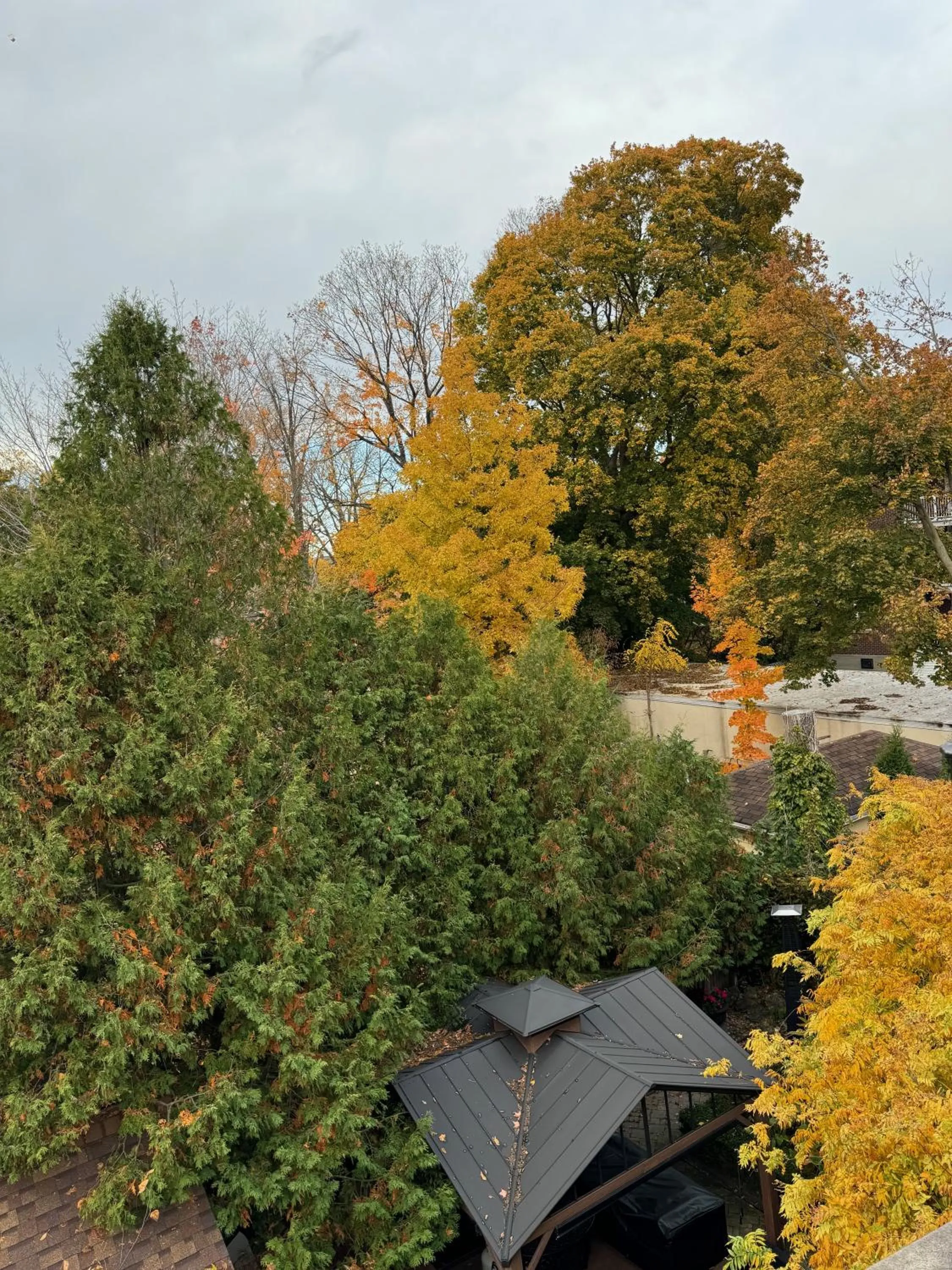 Norfolk Guest House Inn