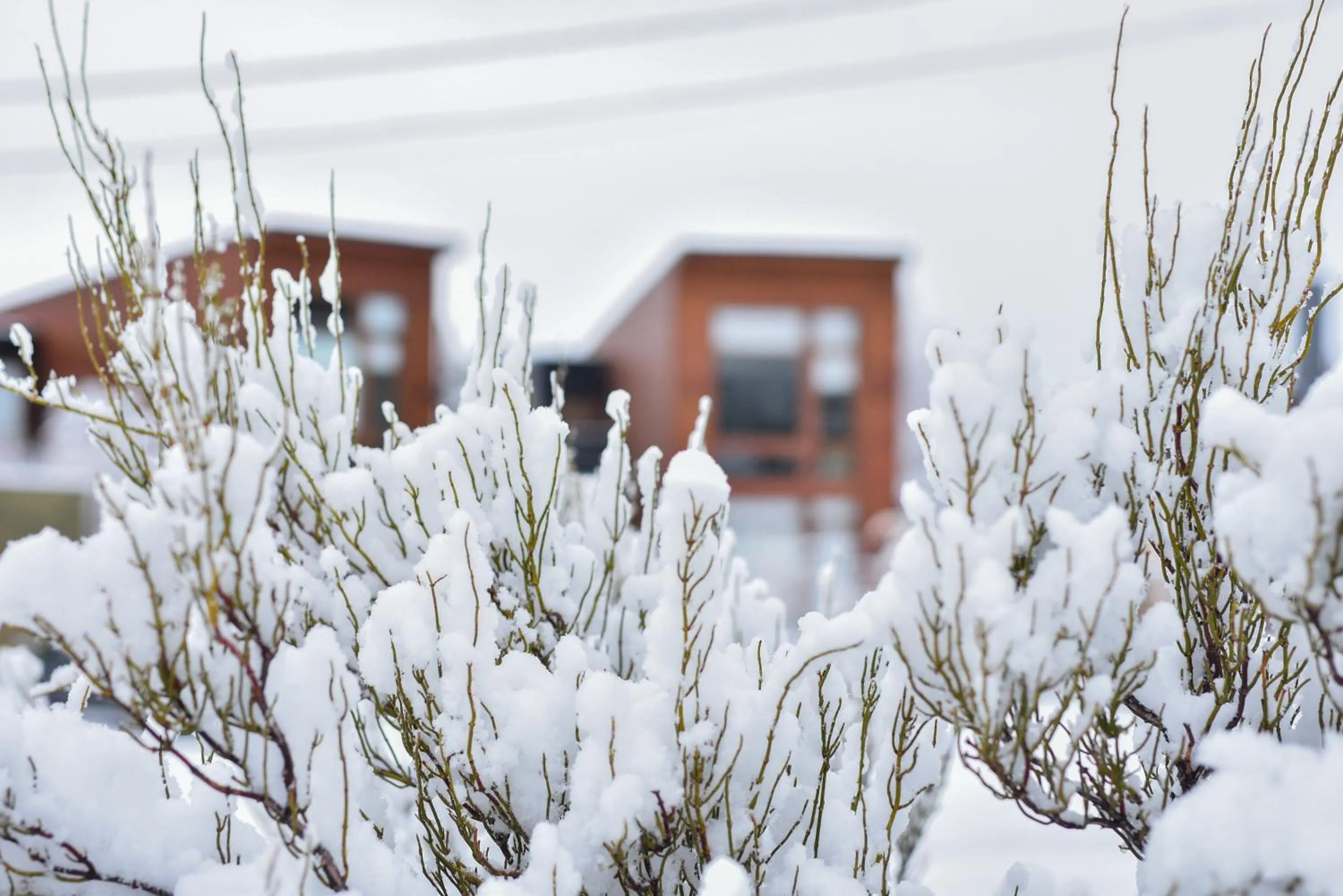 Winter in Luna Llena Dina Huapi